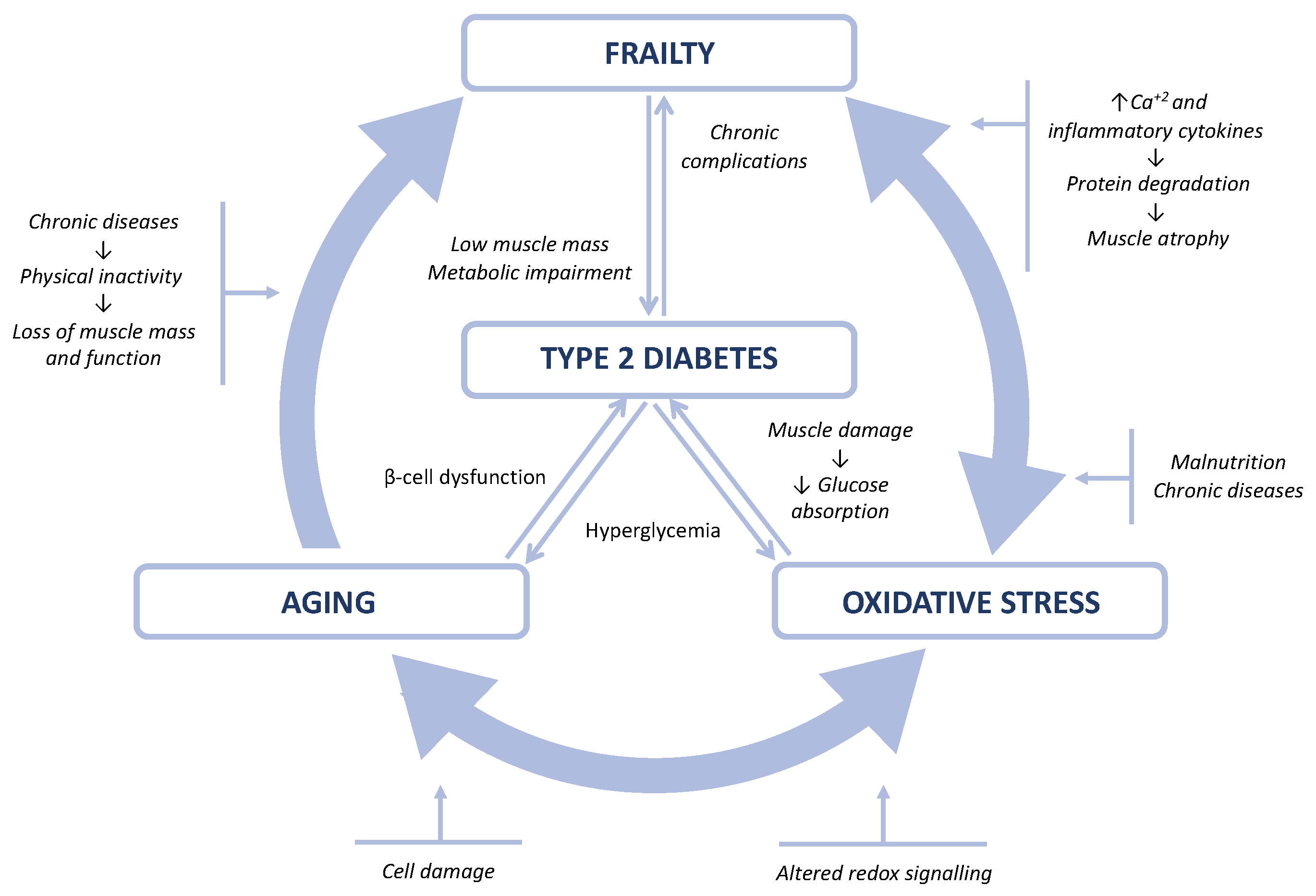 Nutrients 13 03983 g001