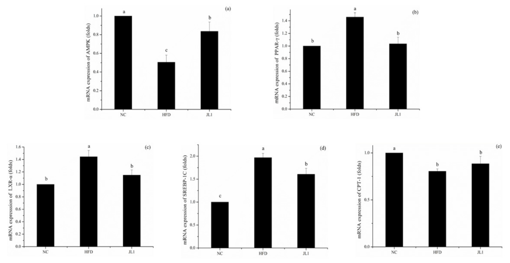 Nutrients 13 03989 g004