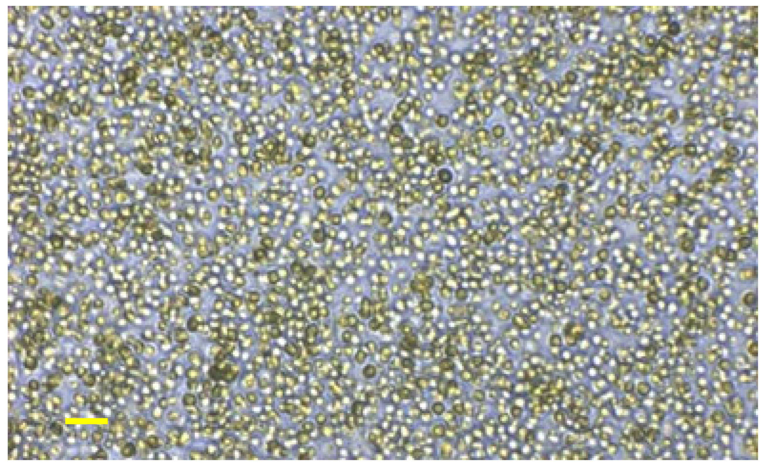 Nutrients 13 03991 g001