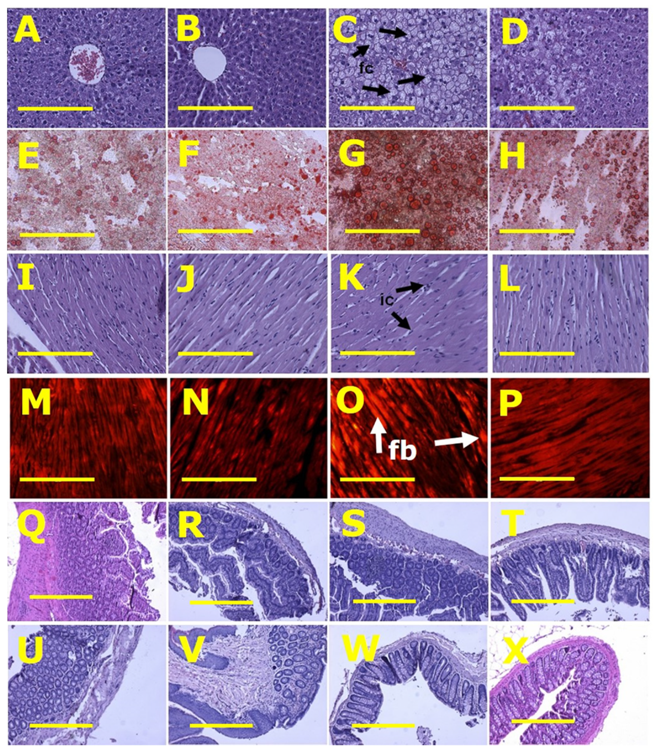 Nutrients 13 03991 g002