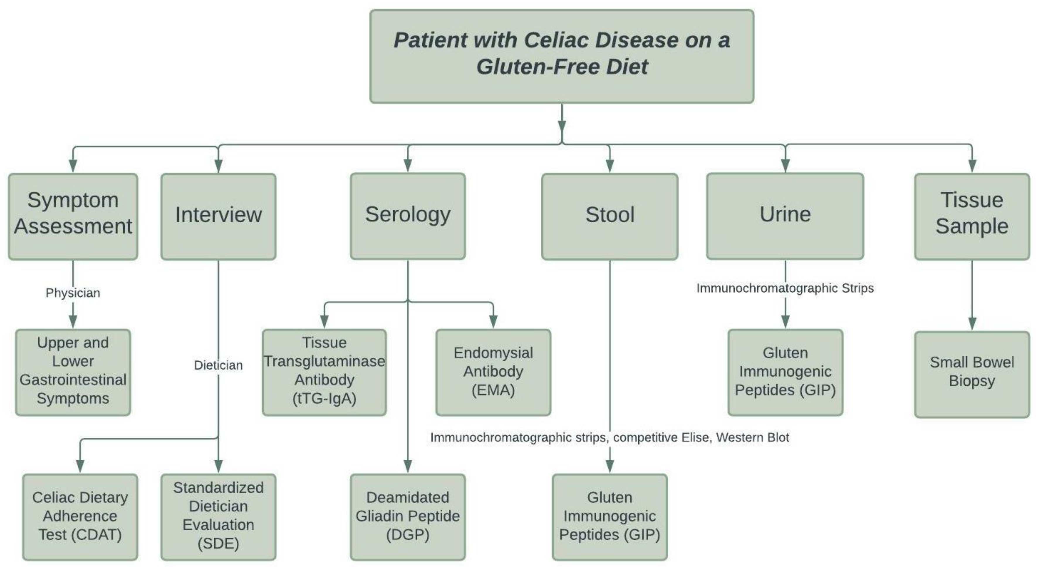 Nutrients 13 03993 g001