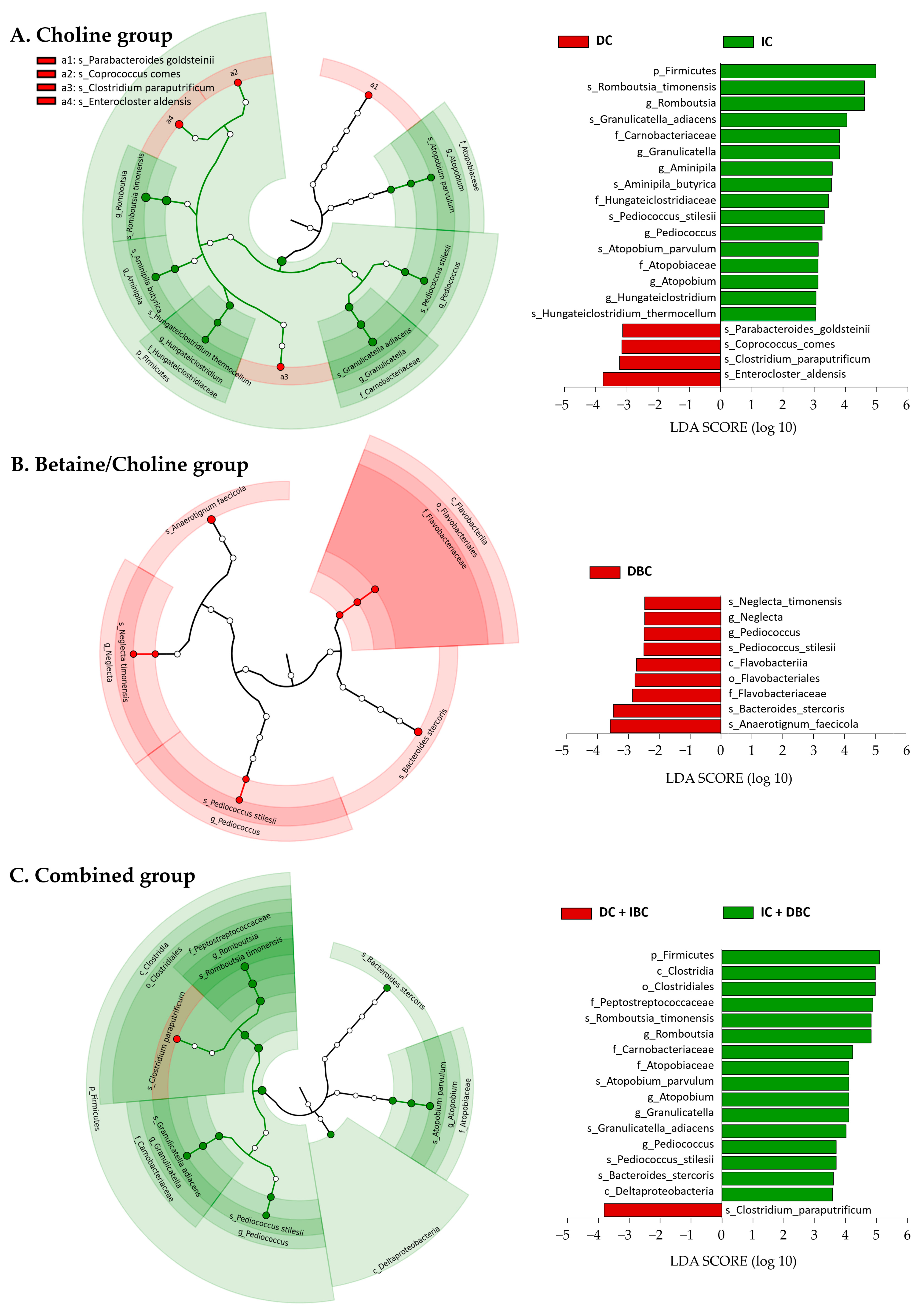 Nutrients 13 04006 g002
