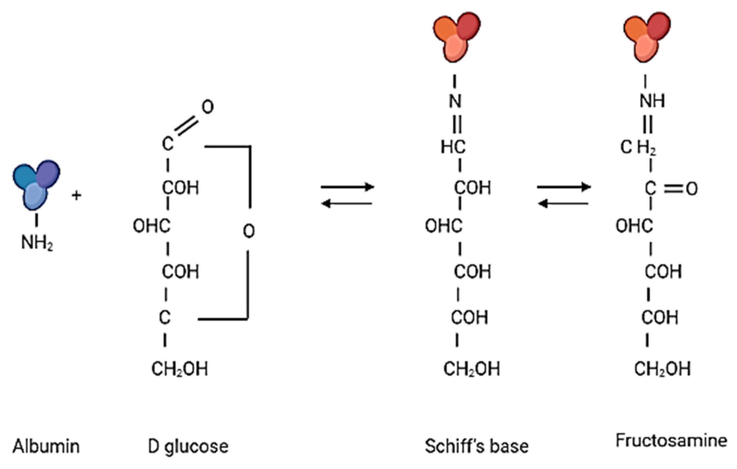Nutrients 13 04066 g014