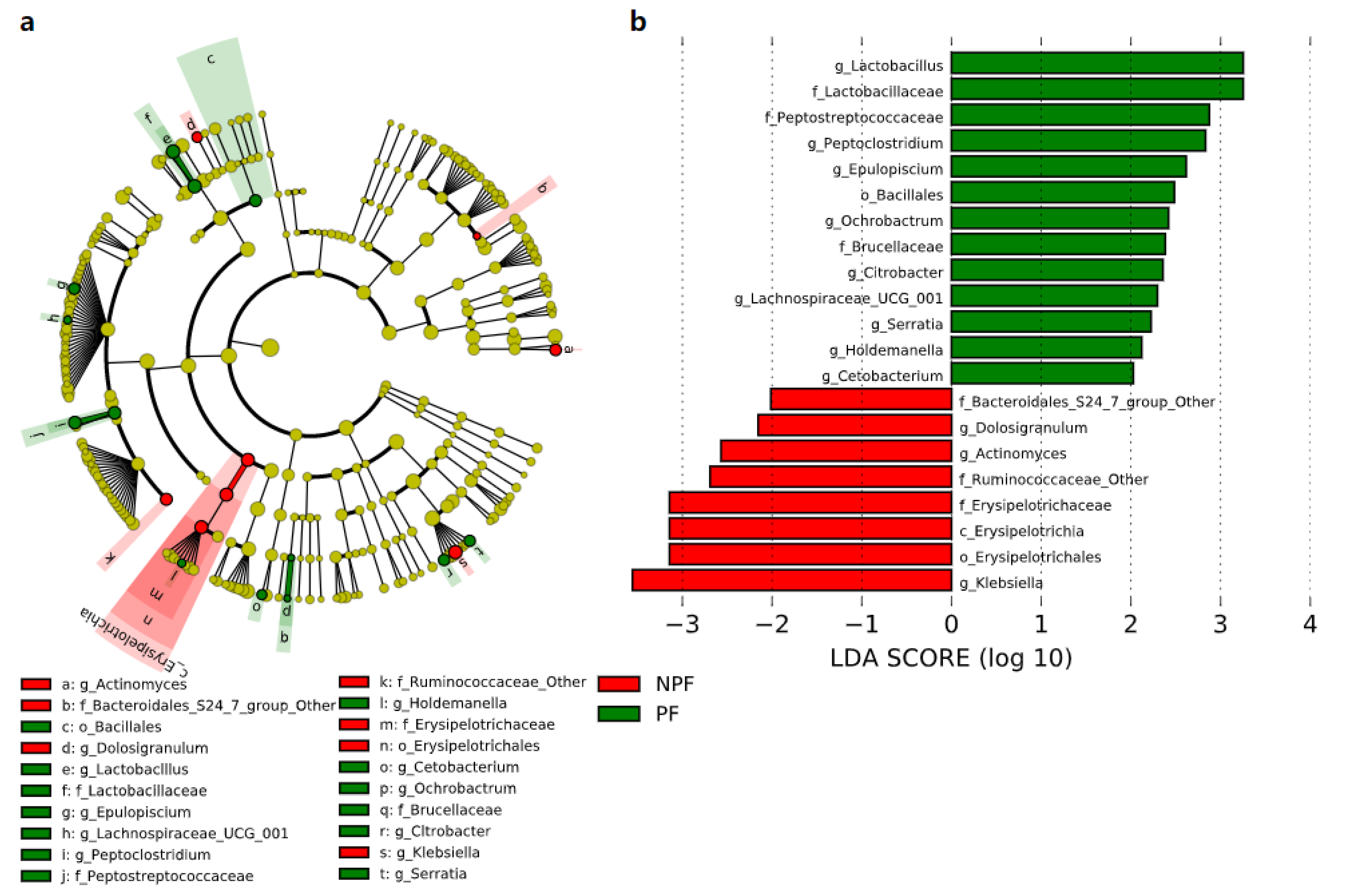 Nutrients 13 04068 g005