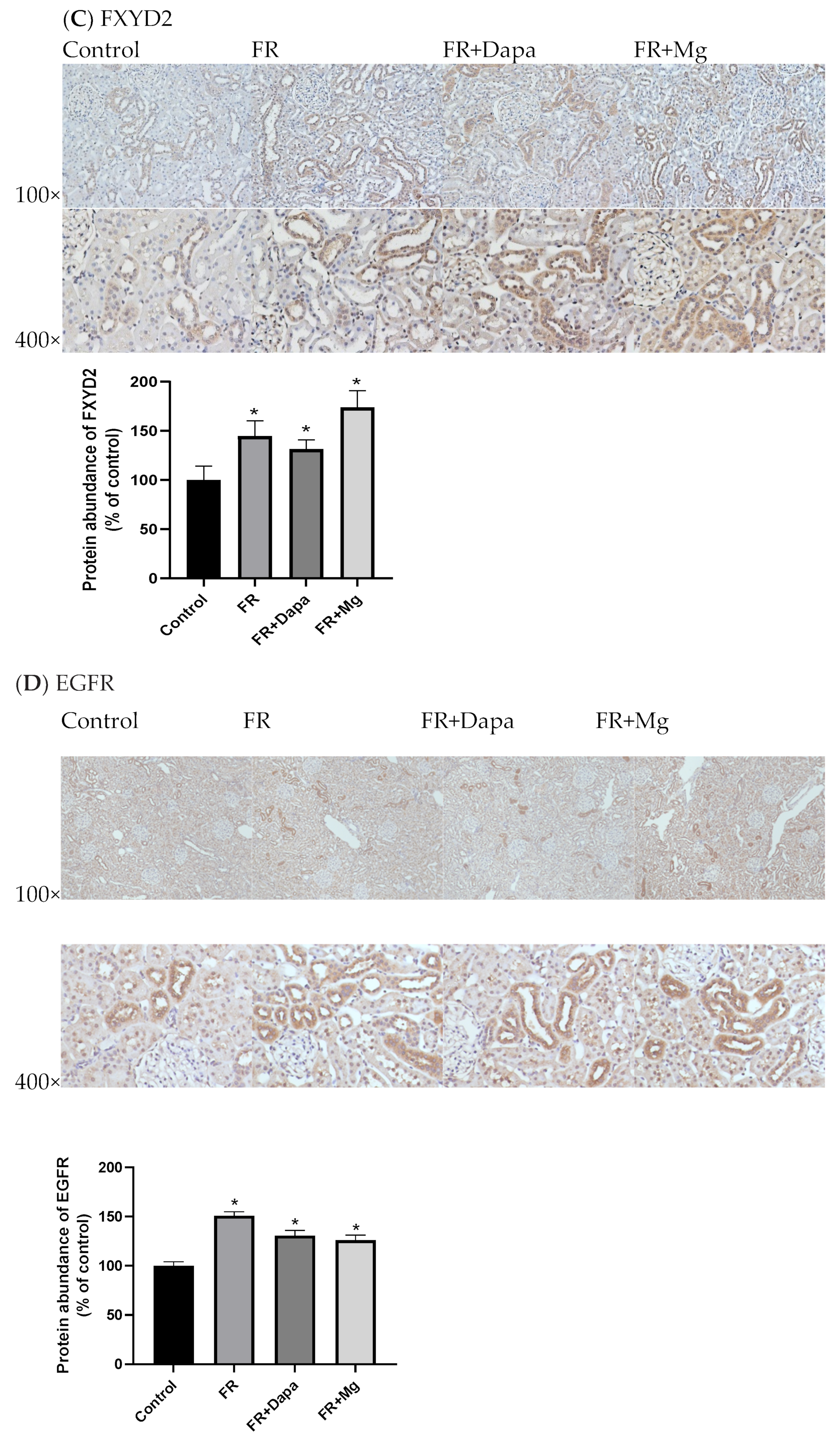 Nutrients 13 04088 g002b