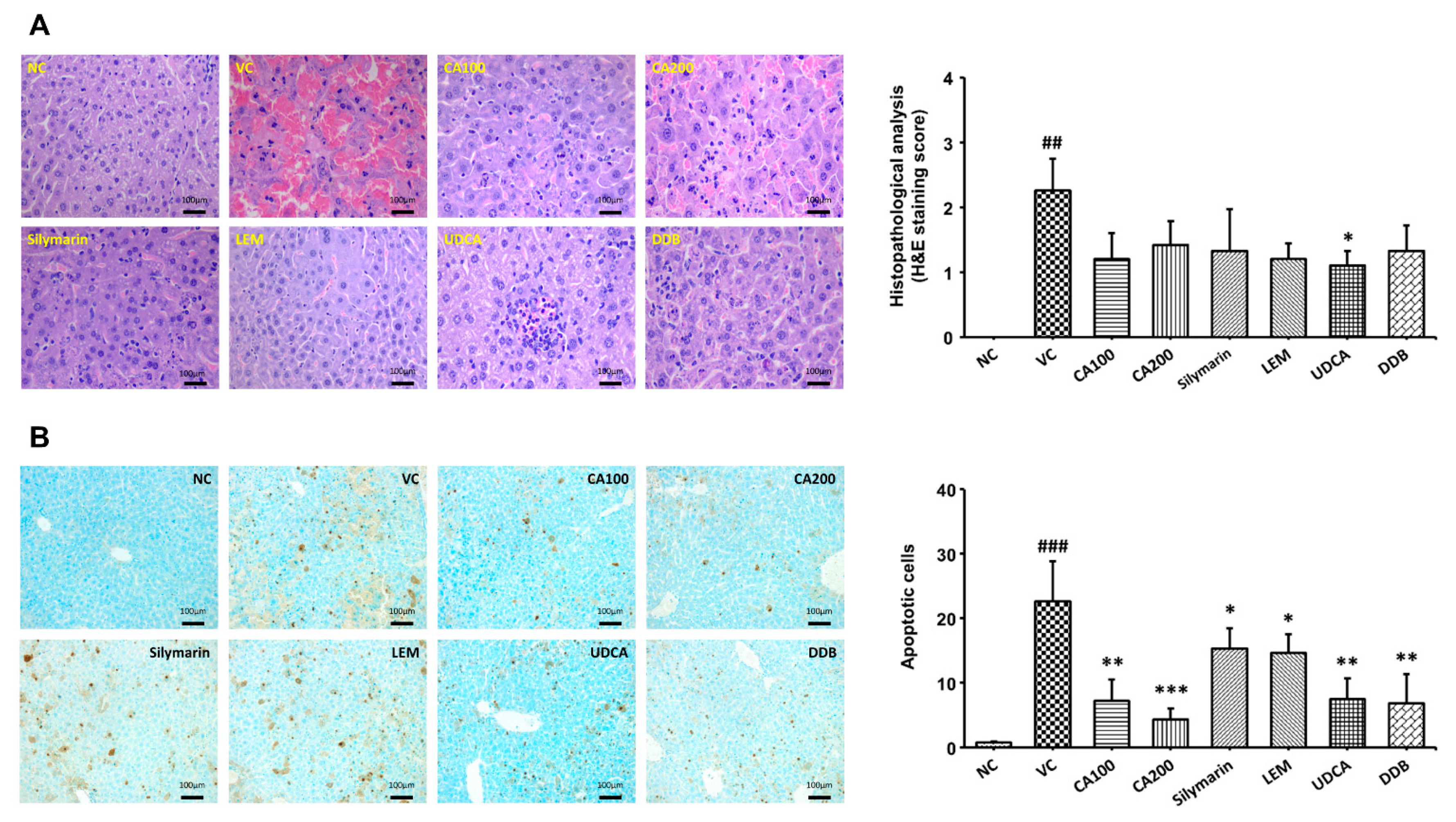 Nutrients 13 04090 g005