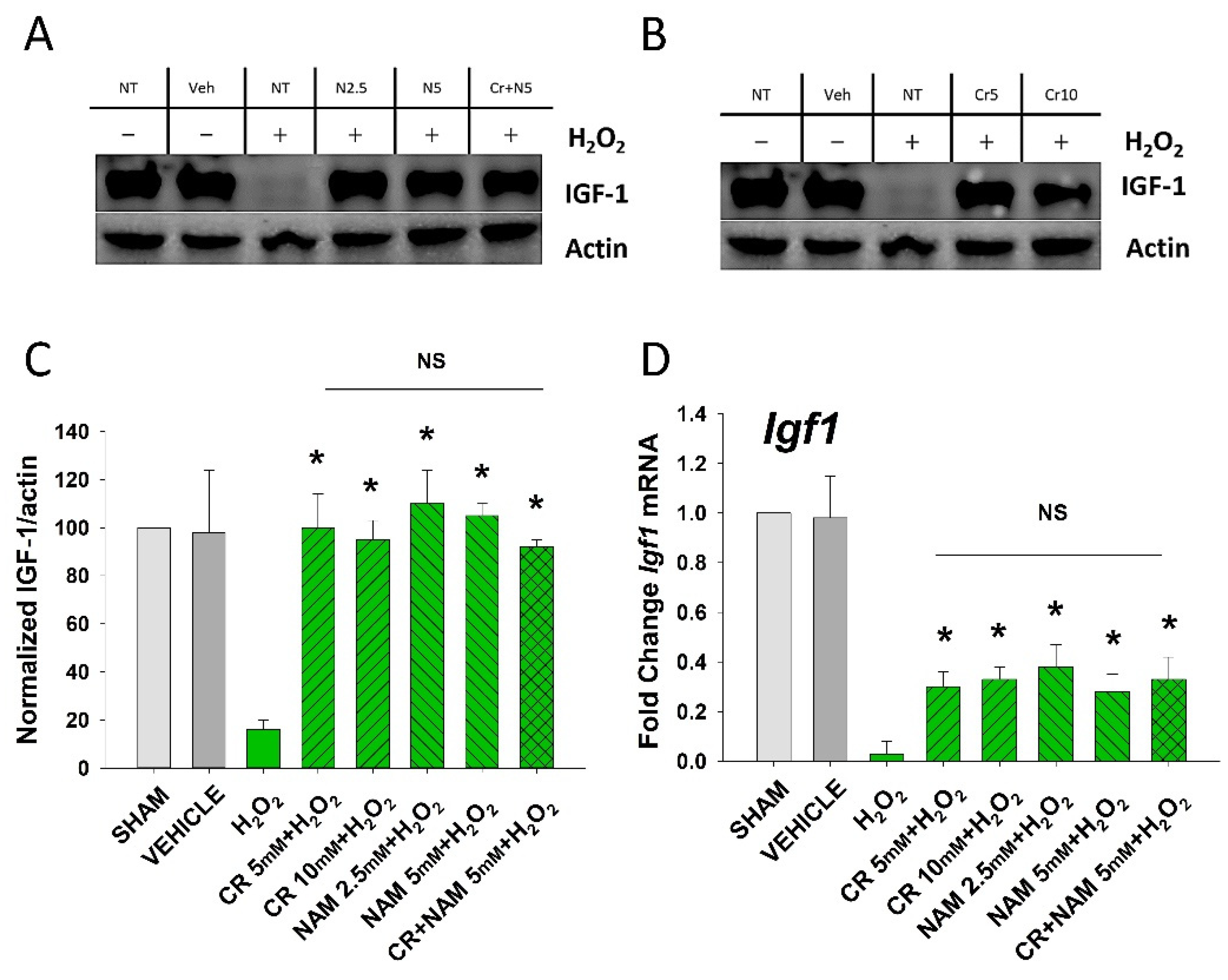 Nutrients 13 04102 g004