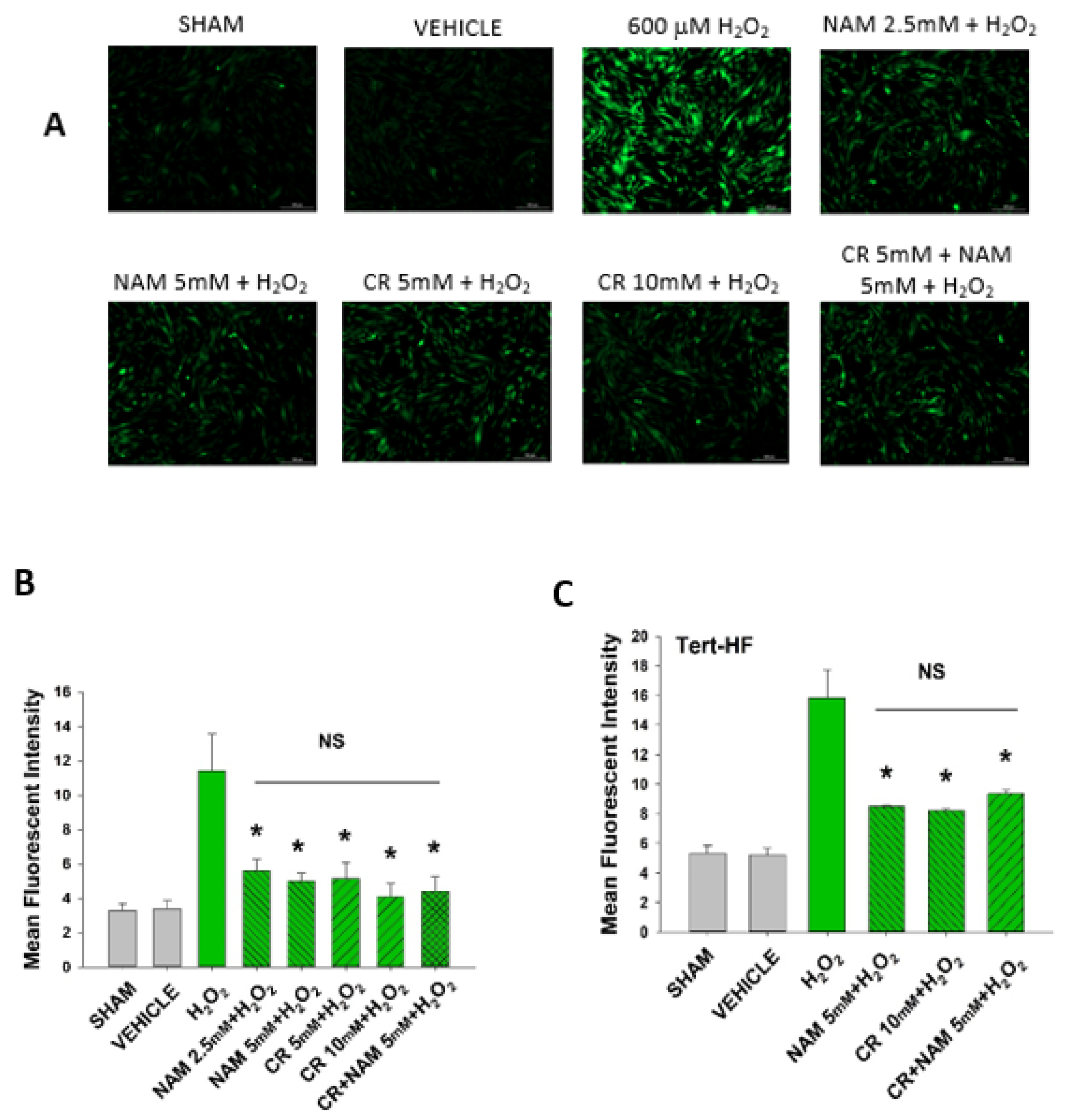 Nutrients 13 04102 g008