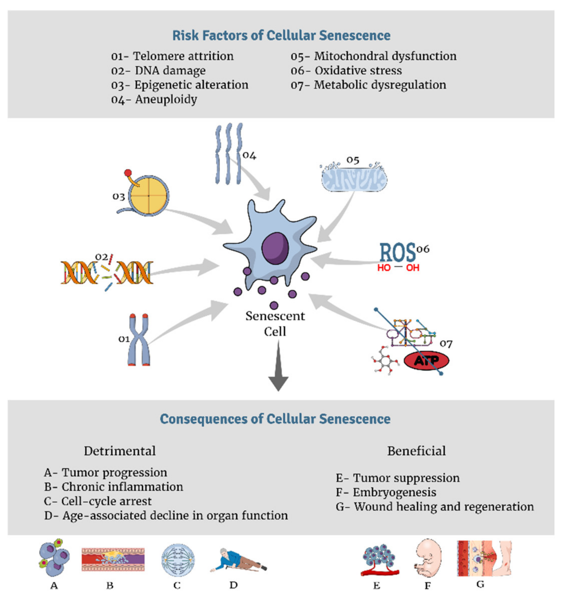 Nutrients 13 04127 g001