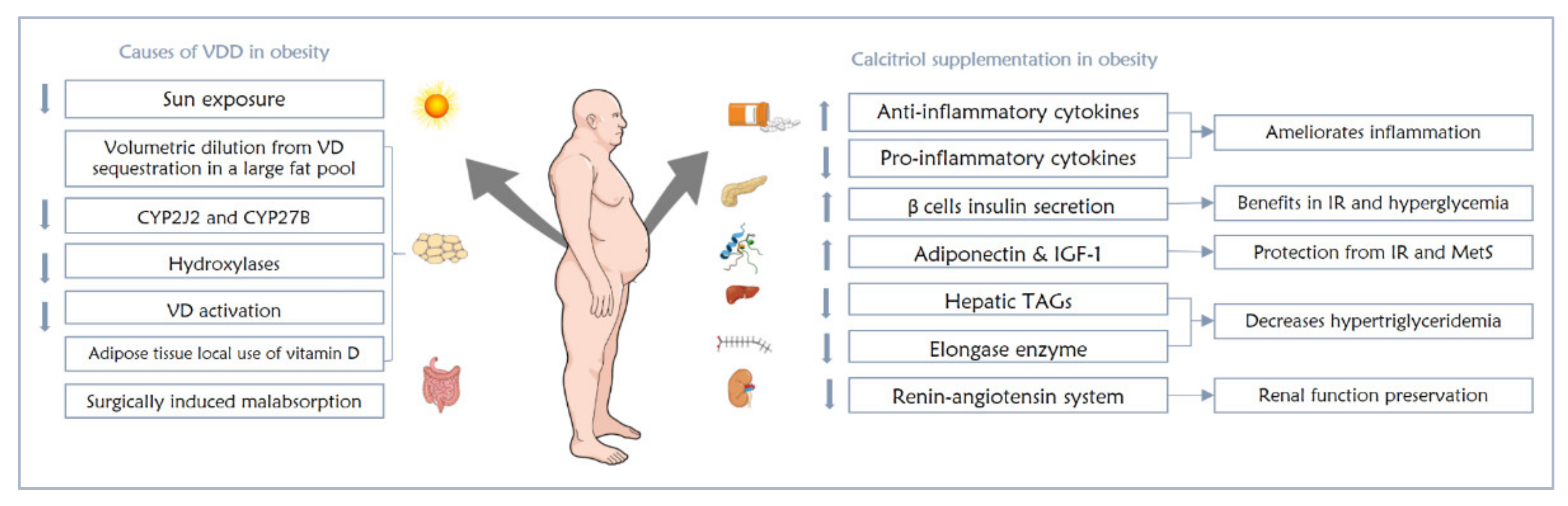 Nutrients 13 04127 g002