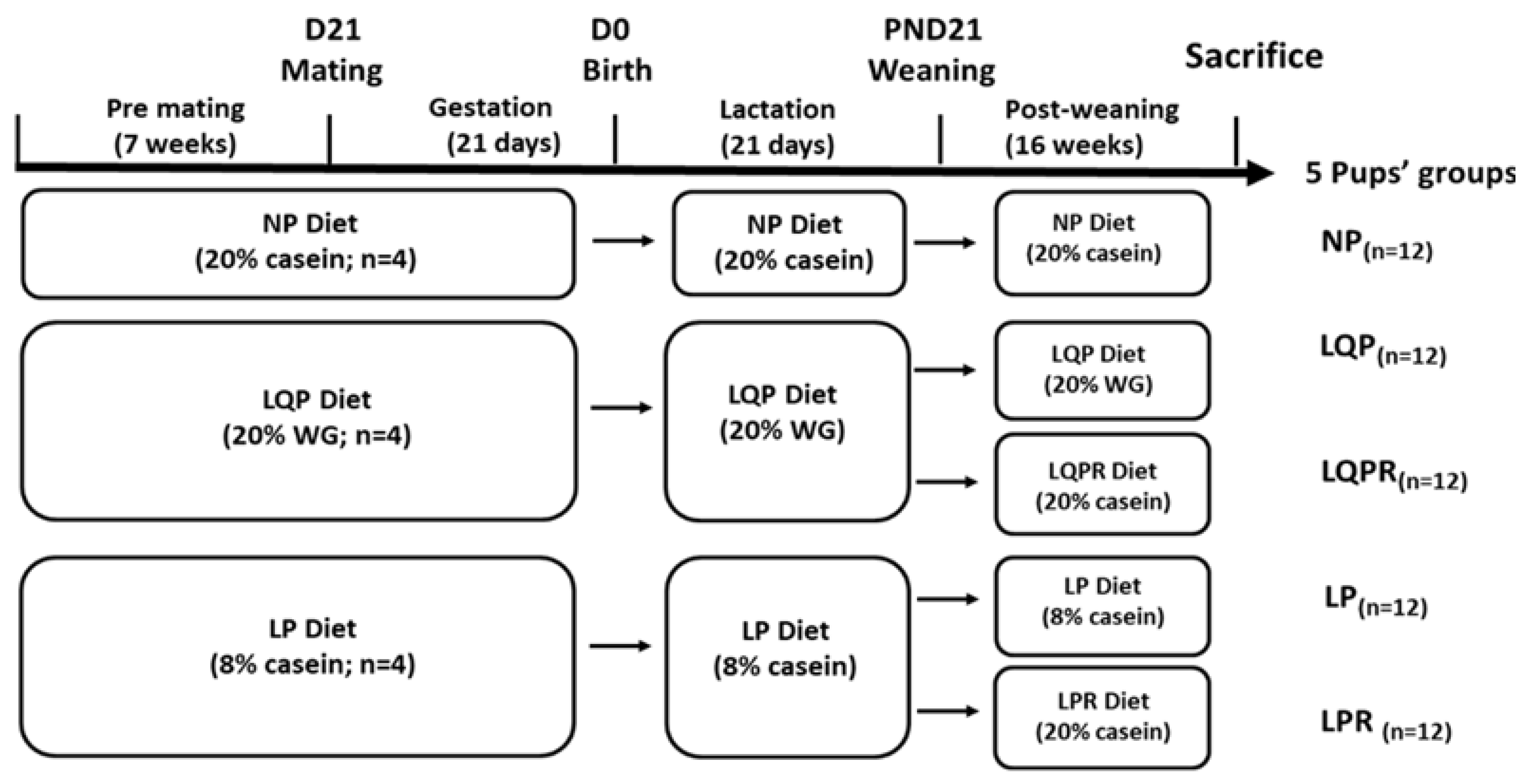Nutrients 13 04129 g001