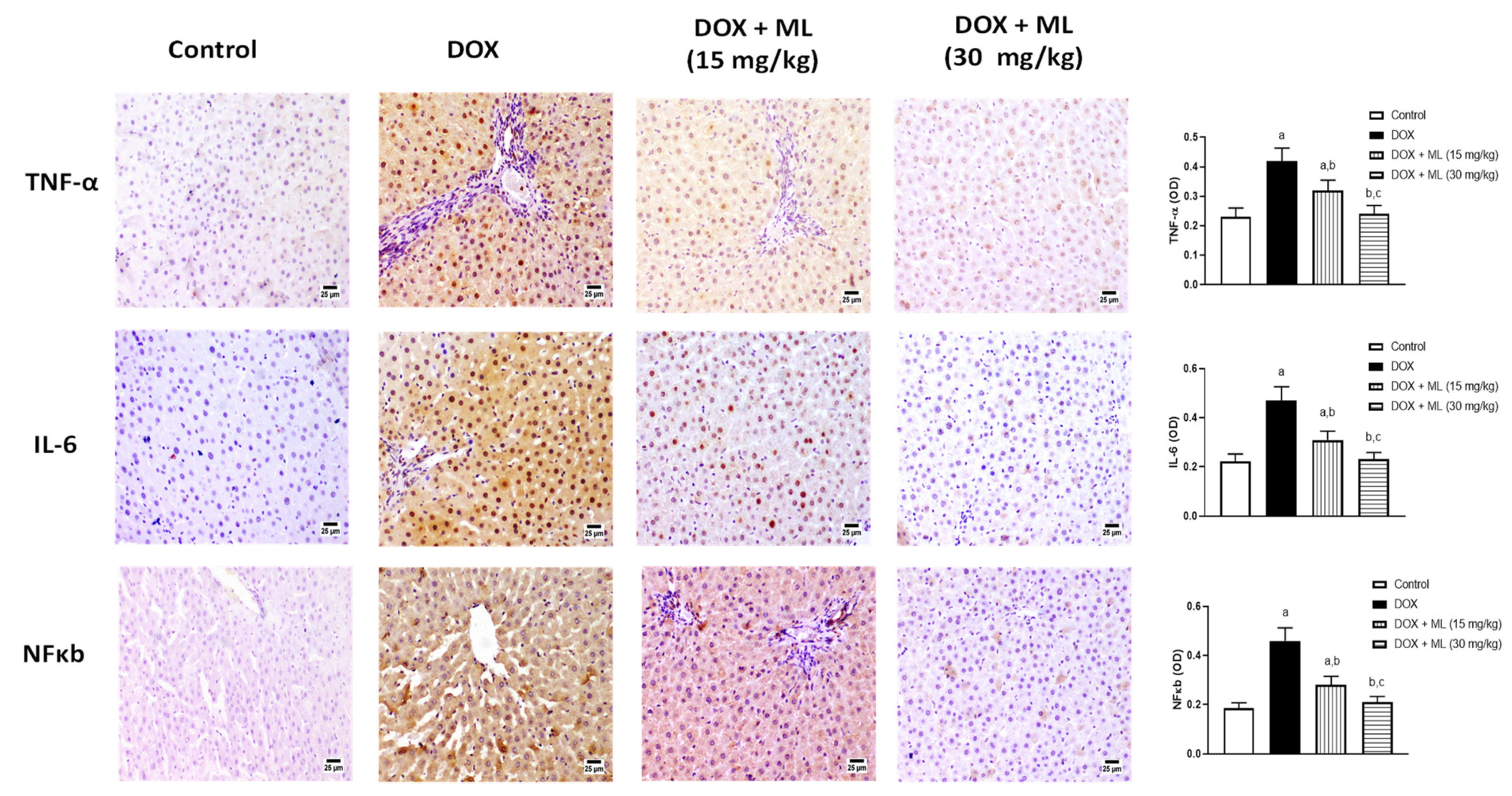 Nutrients 13 04142 g006
