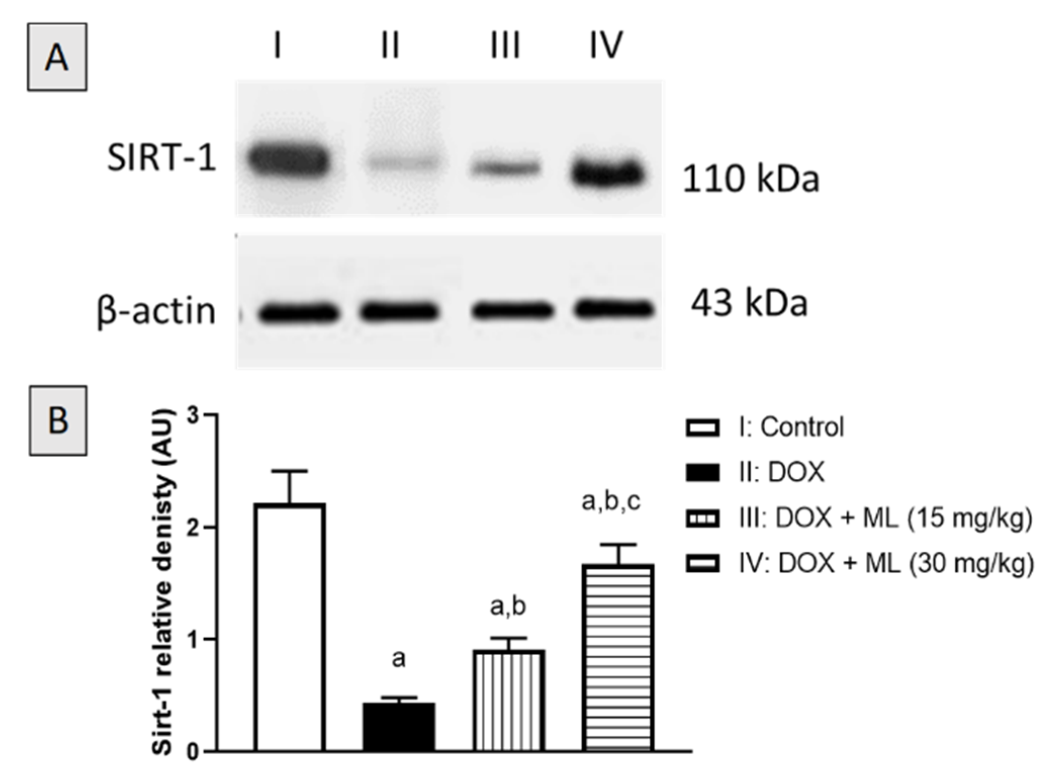 Nutrients 13 04142 g008
