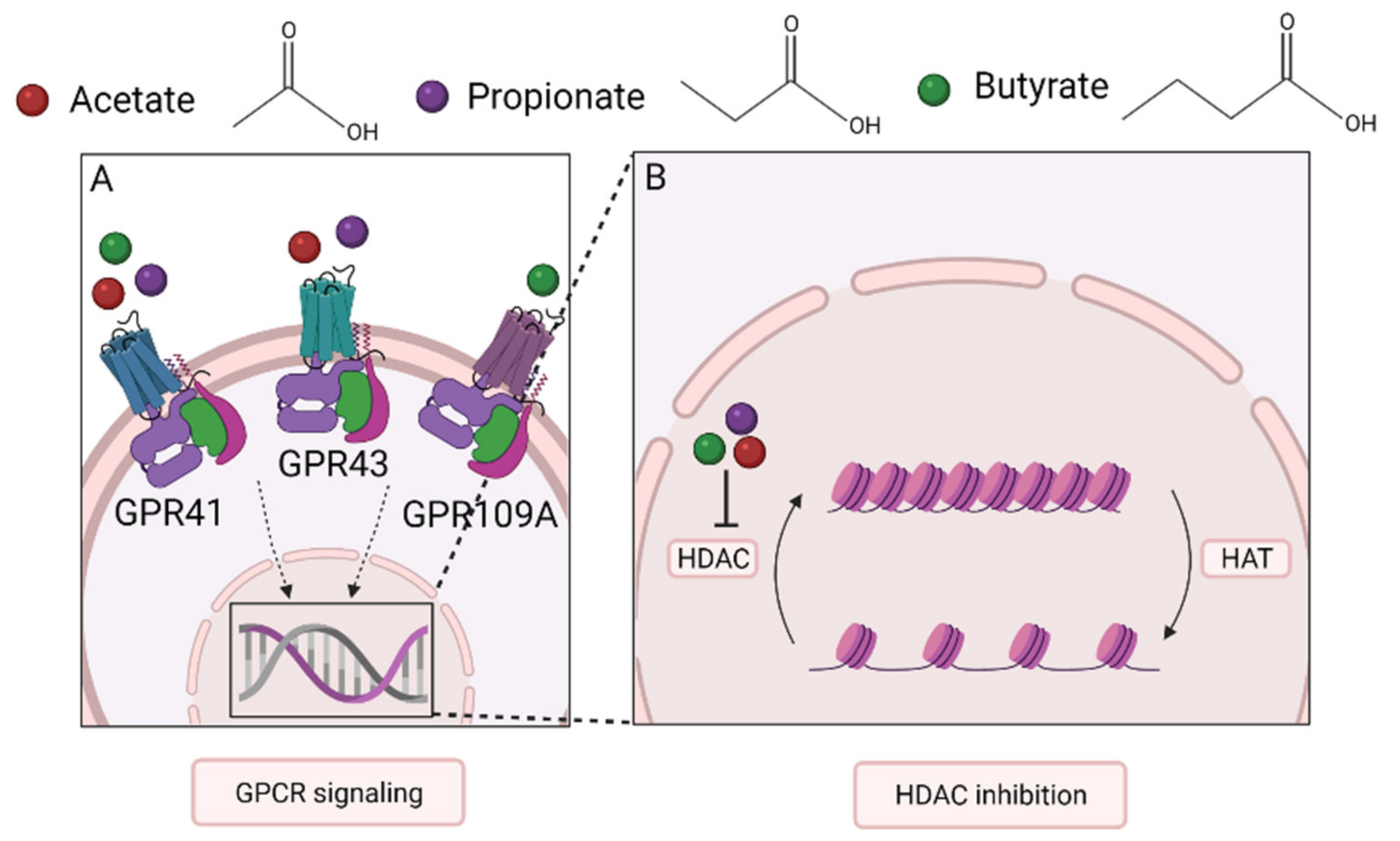 Nutrients 13 04153 g002