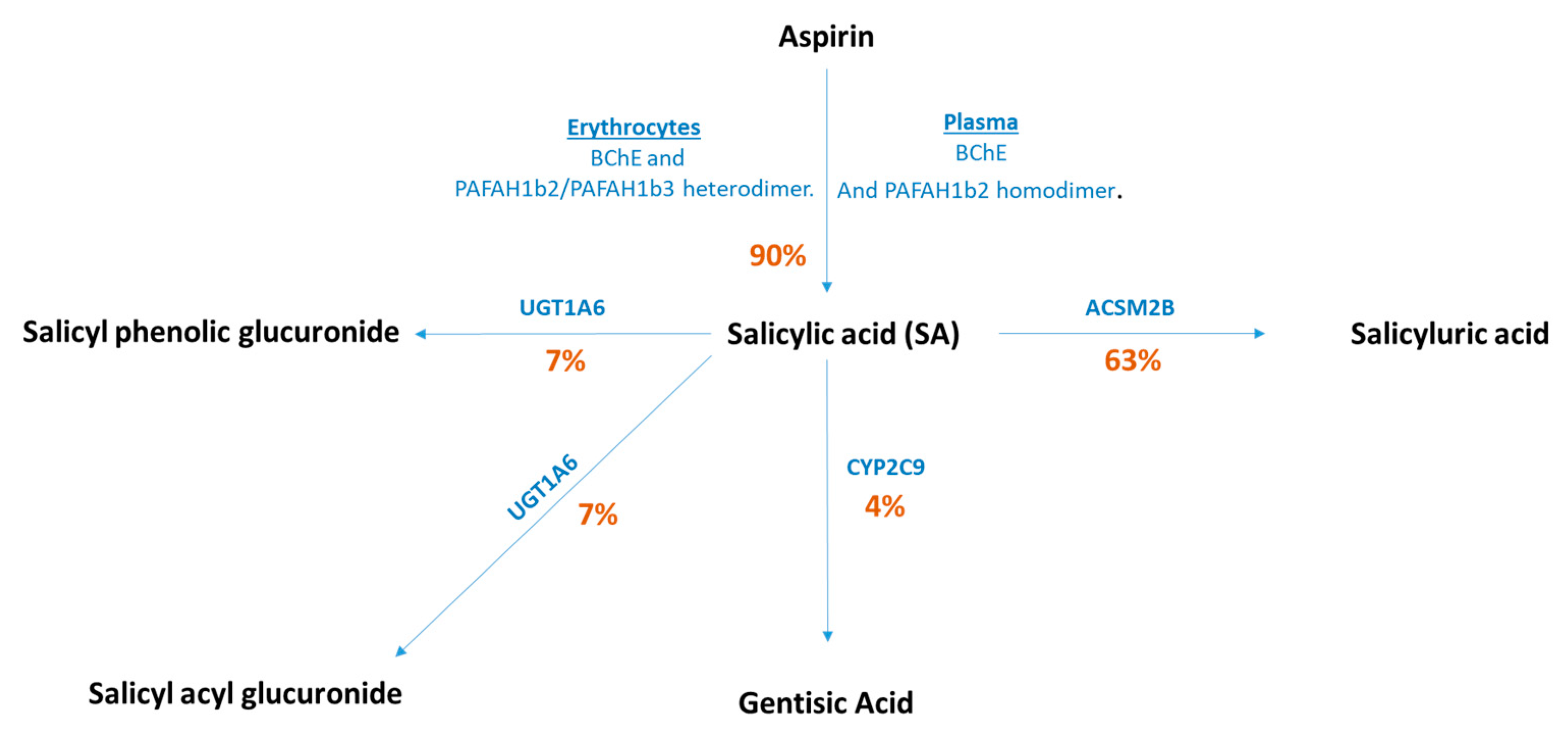 Nutrients 13 04164 g001 Nutrients 13 04164 g001