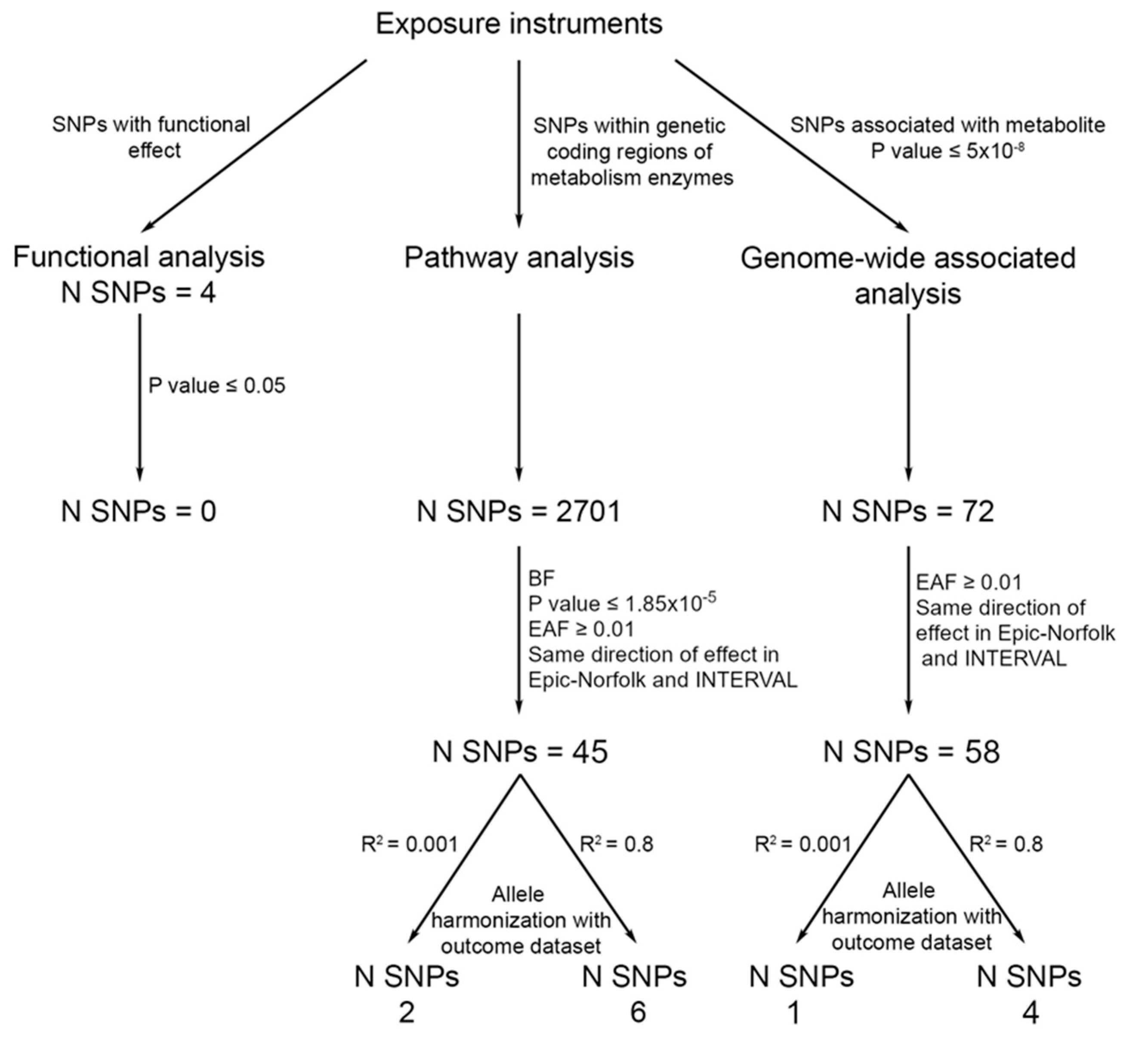 Nutrients 13 04164 g002 Nutrients 13 04164 g002