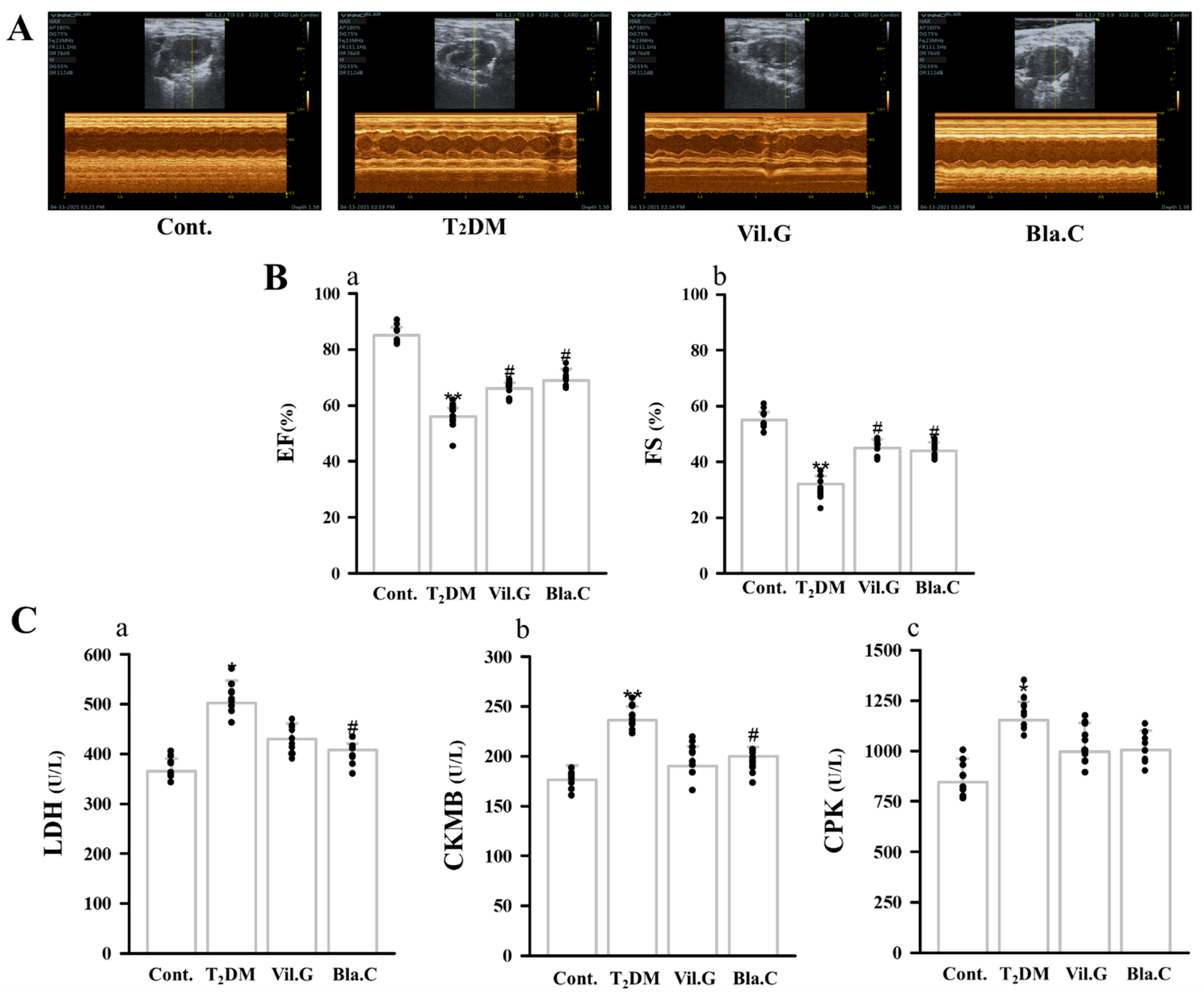 Nutrients 13 04177 g005 Nutrients 13 04177 g005
