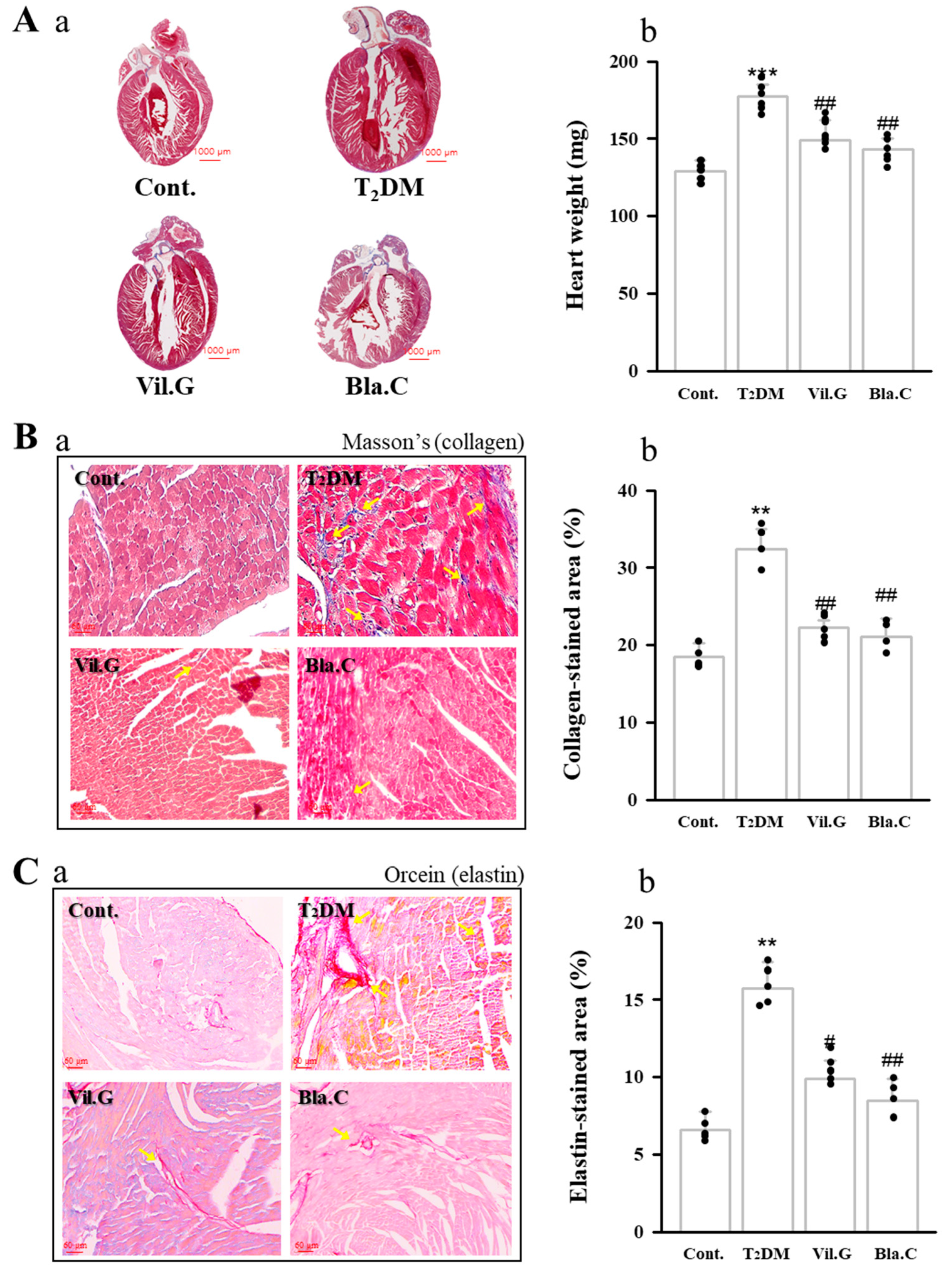 Nutrients 13 04177 g006 Nutrients 13 04177 g006