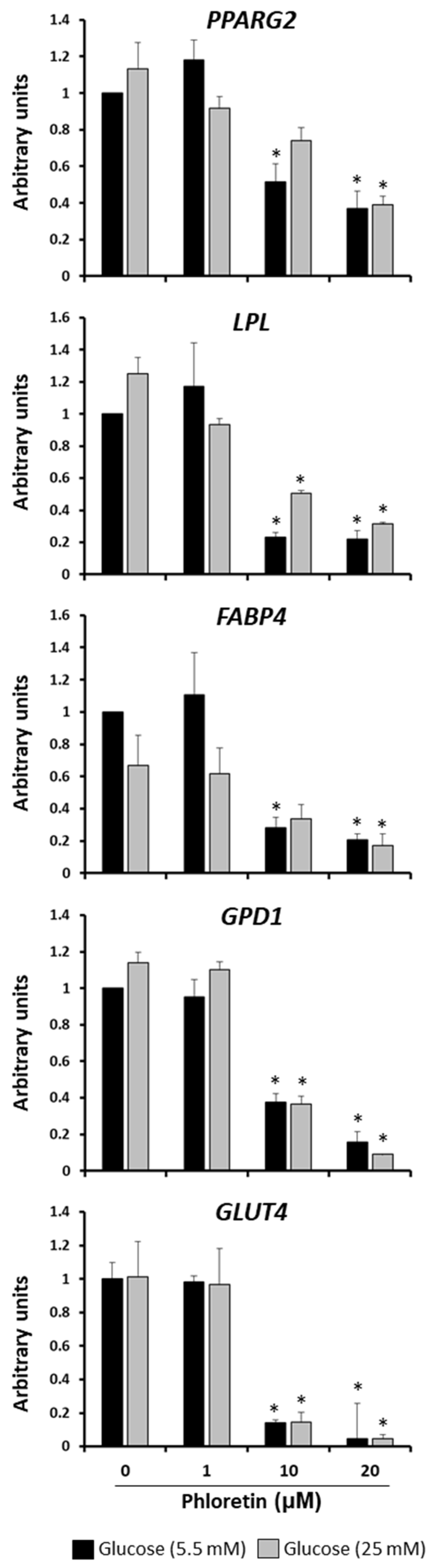 Nutrients 13 04185 g004