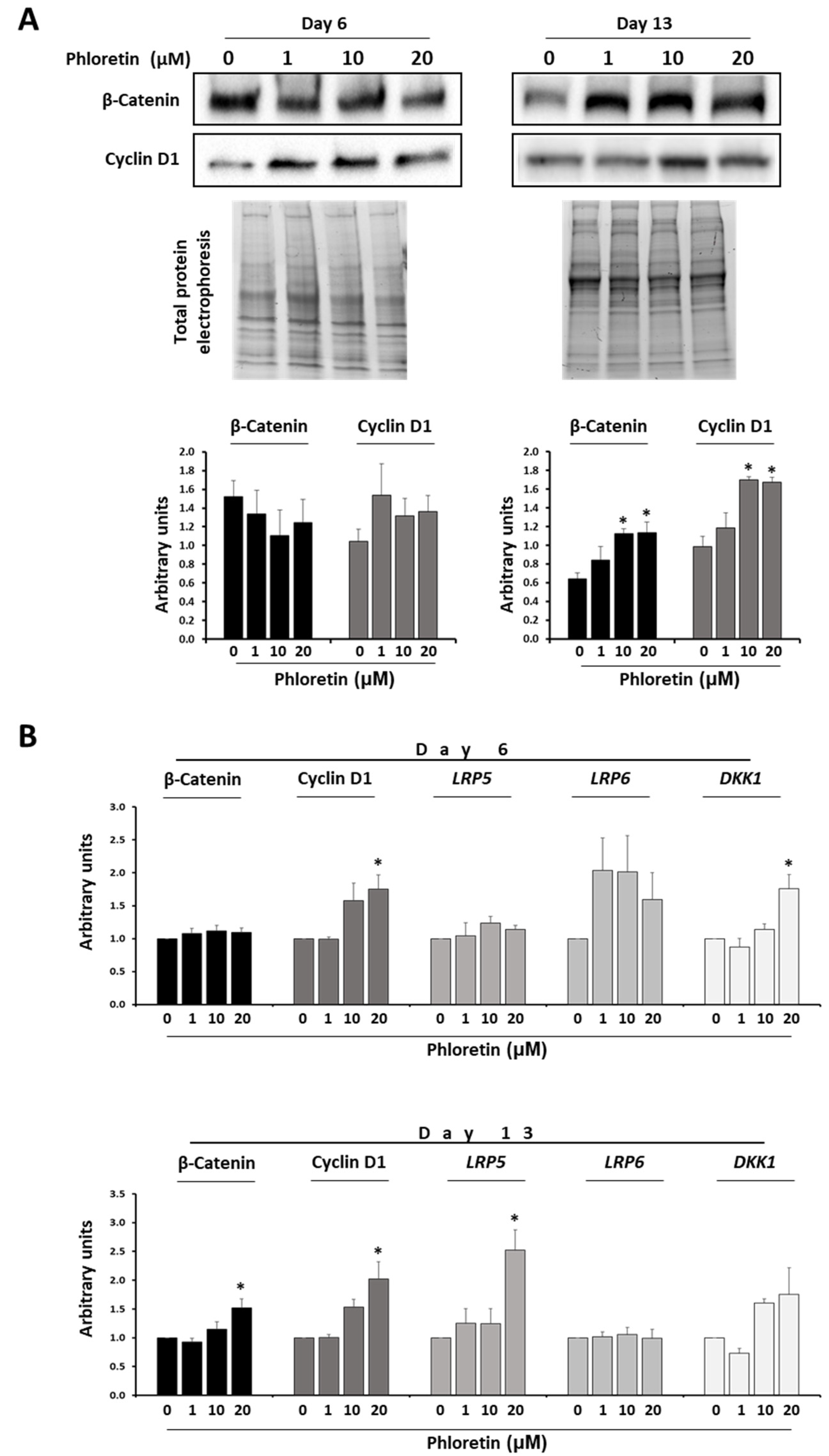 Nutrients 13 04185 g006