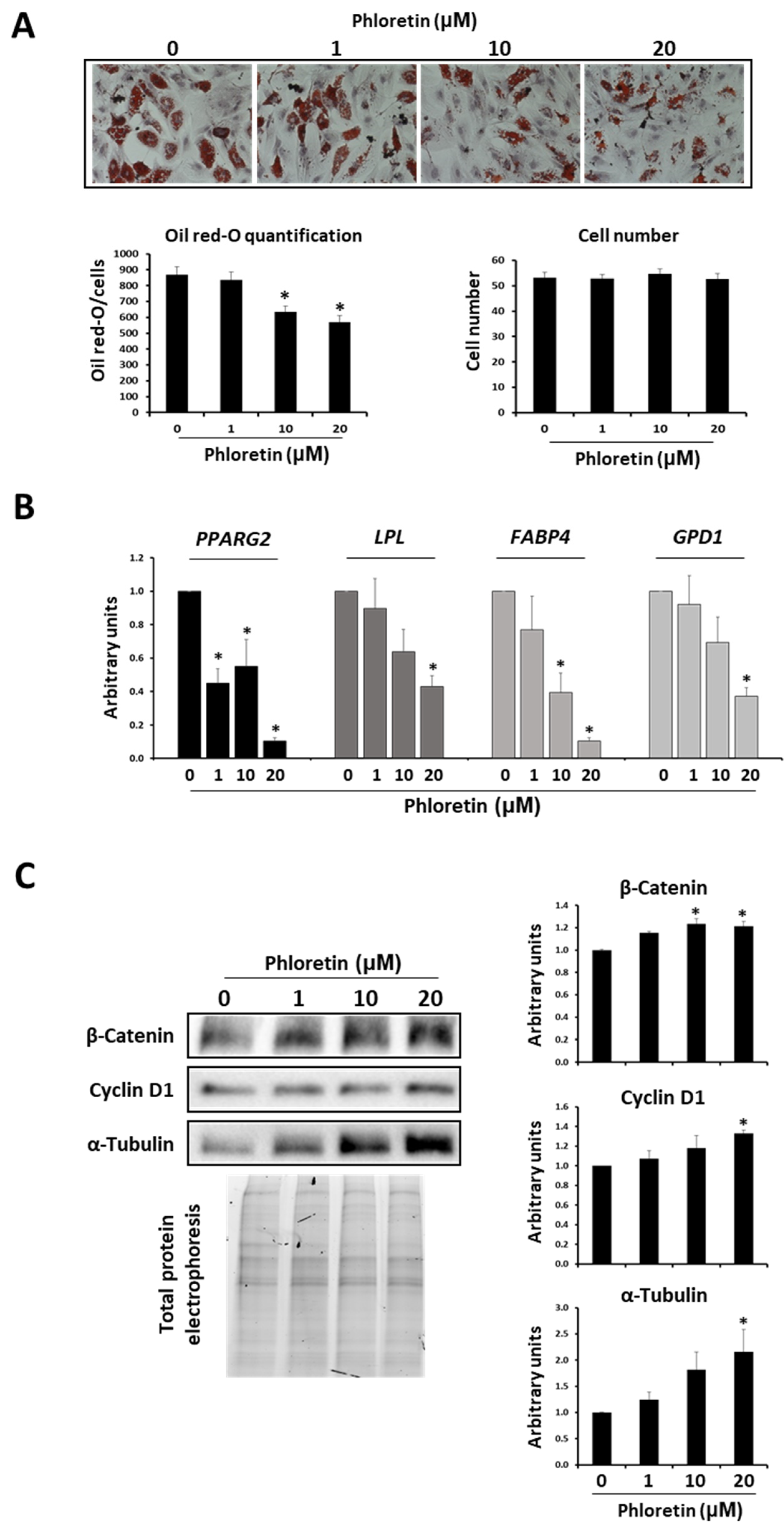 Nutrients 13 04185 g007