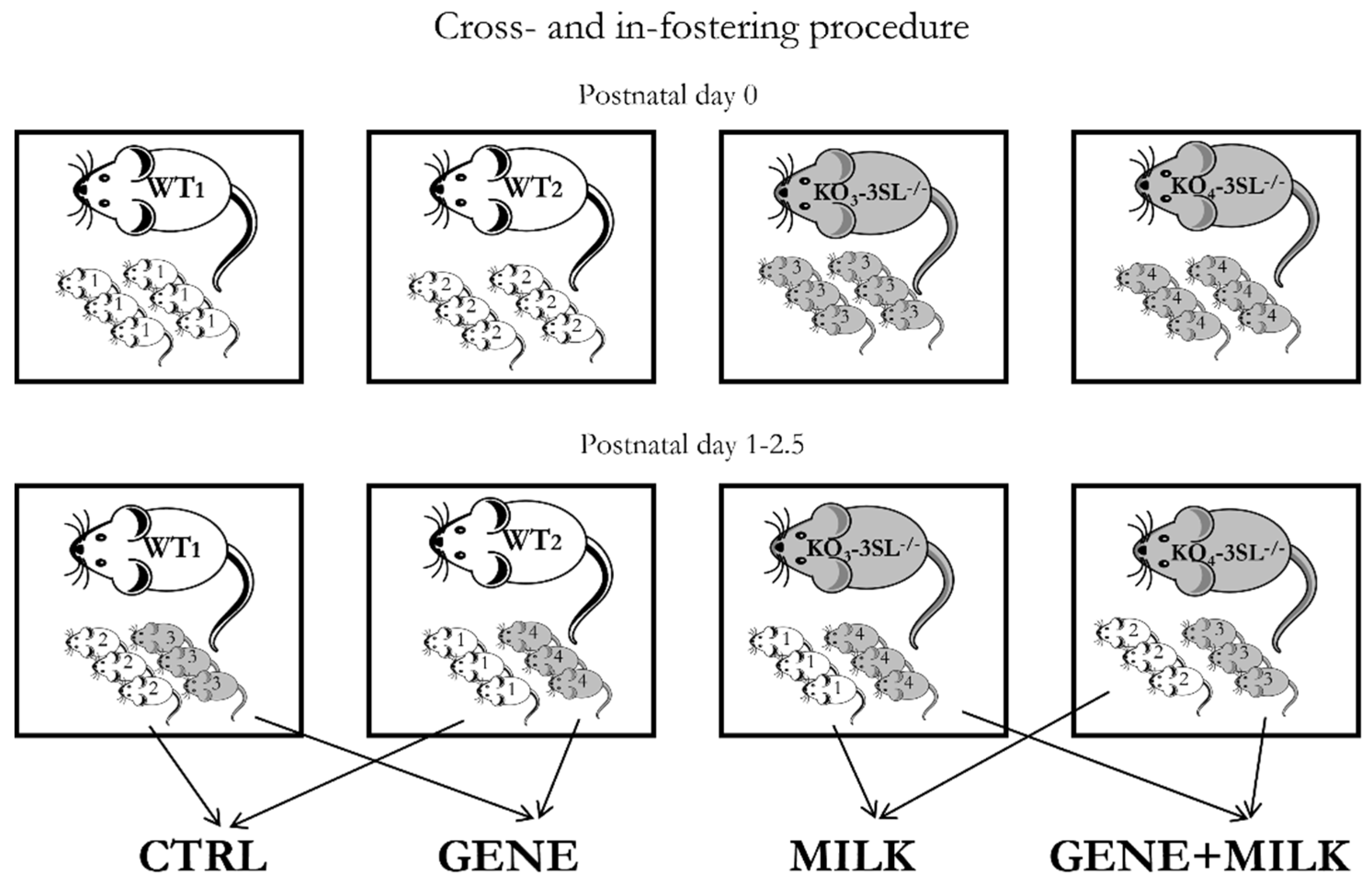 Nutrients 13 04191 g001