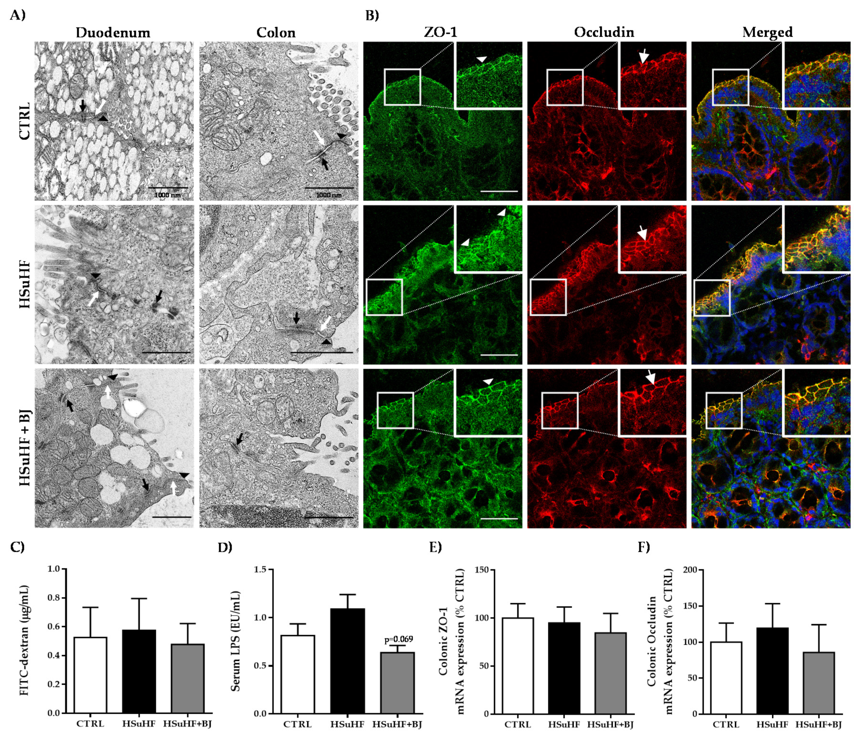 Nutrients 13 04192 g003