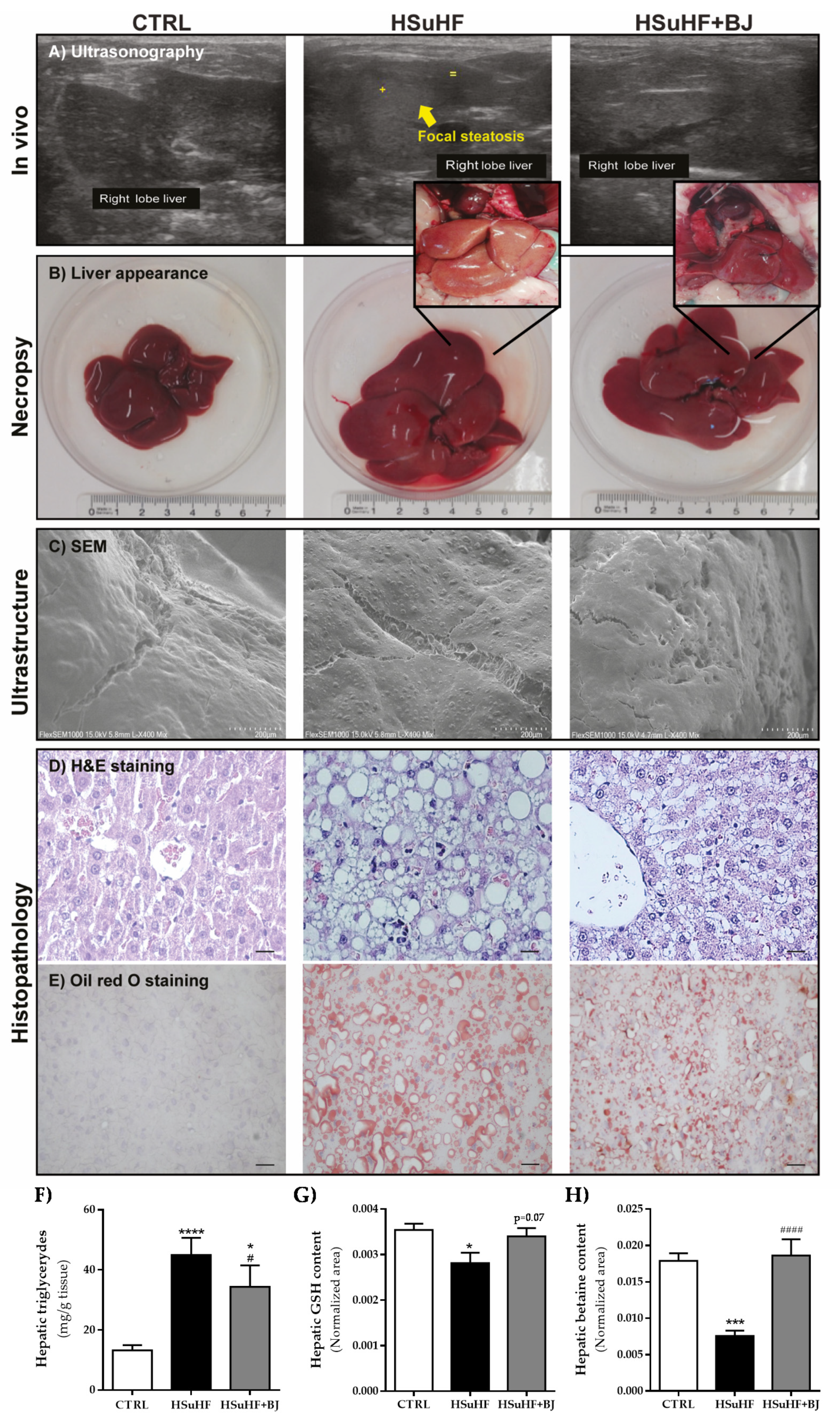 Nutrients 13 04192 g004