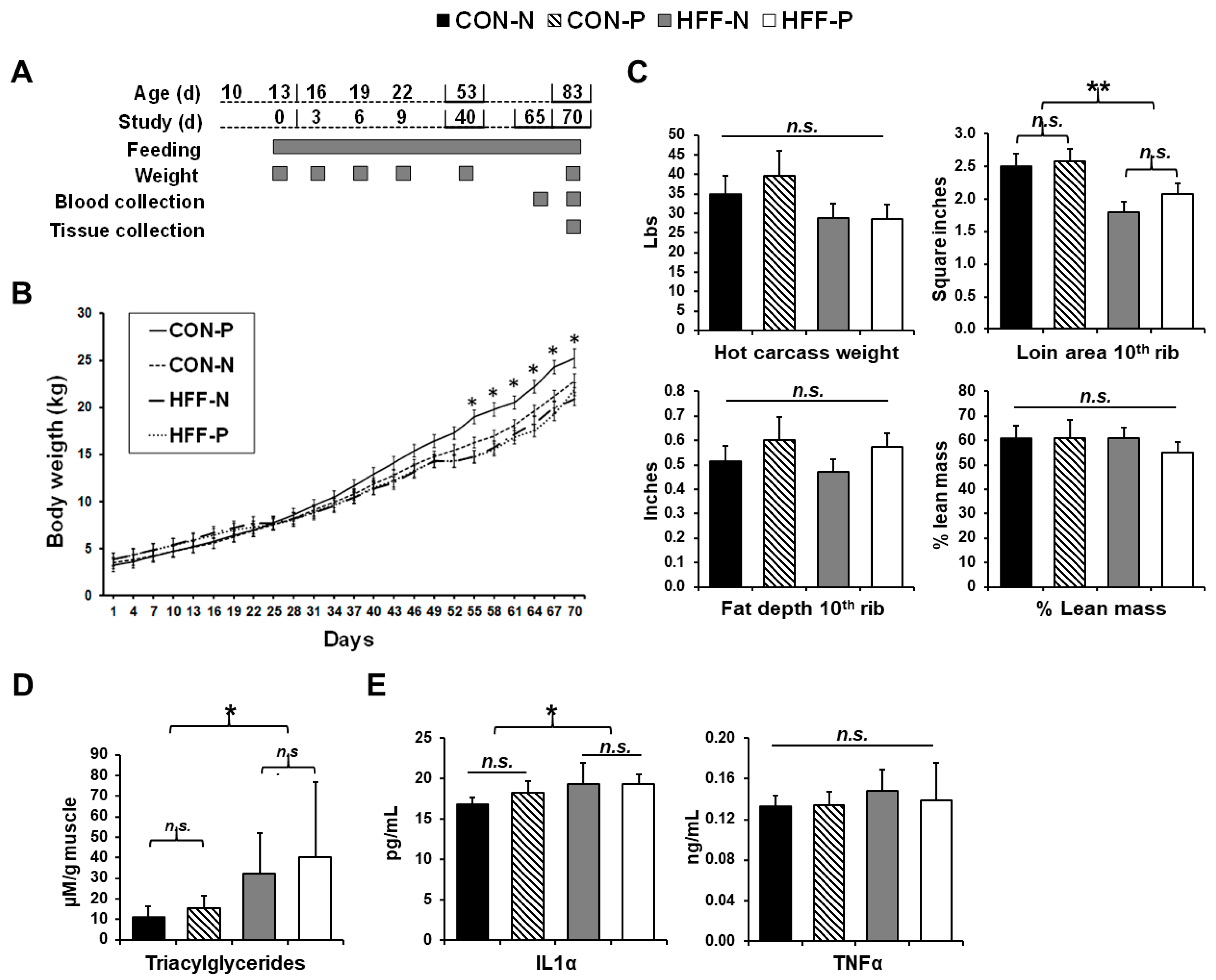 Nutrients 13 04195 g001