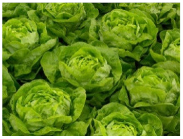 Nutrients 13 04198 i001