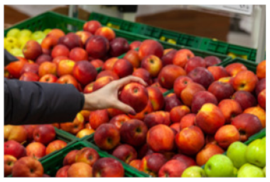 Nutrients 13 04198 i002