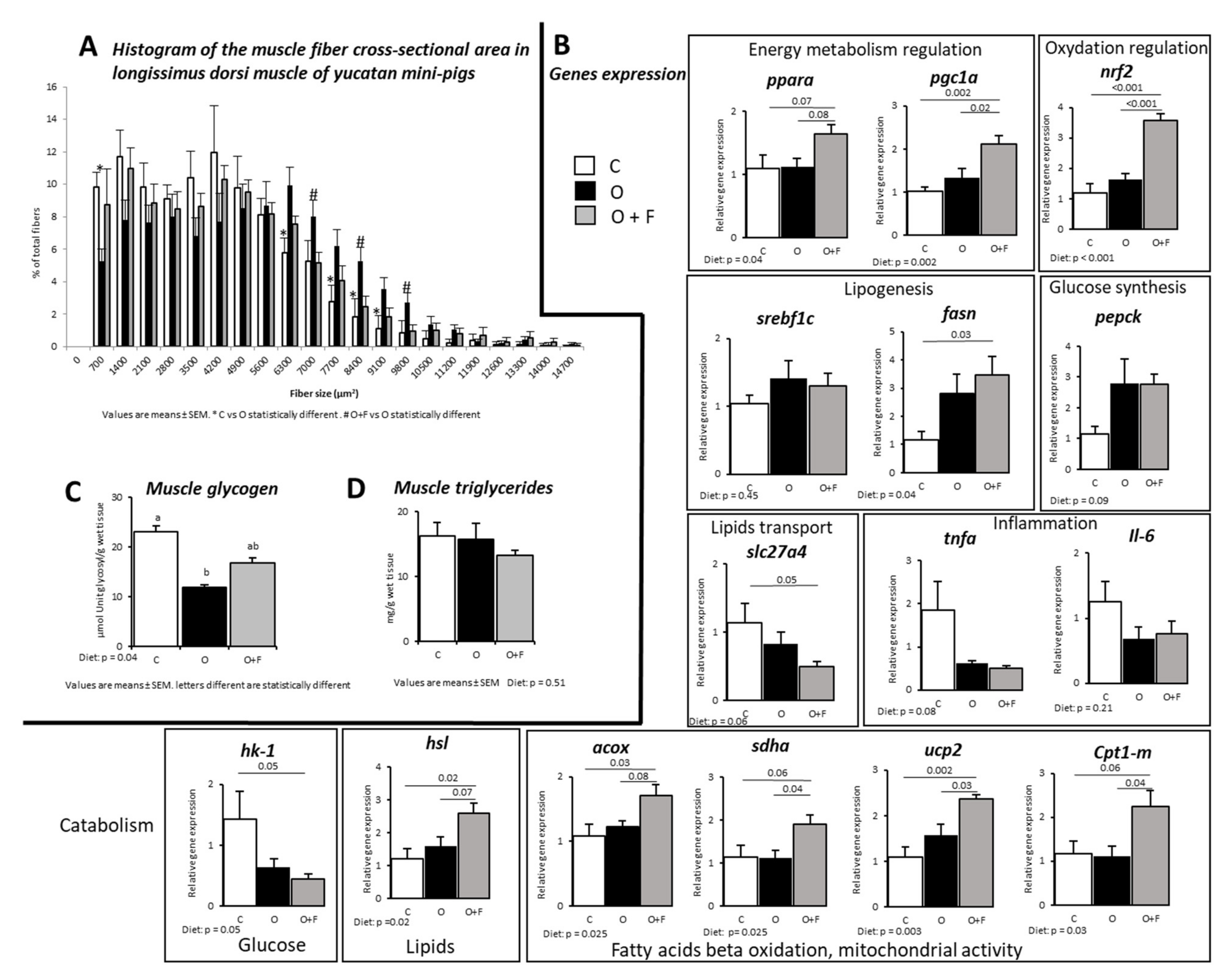 Nutrients 13 04202 g001