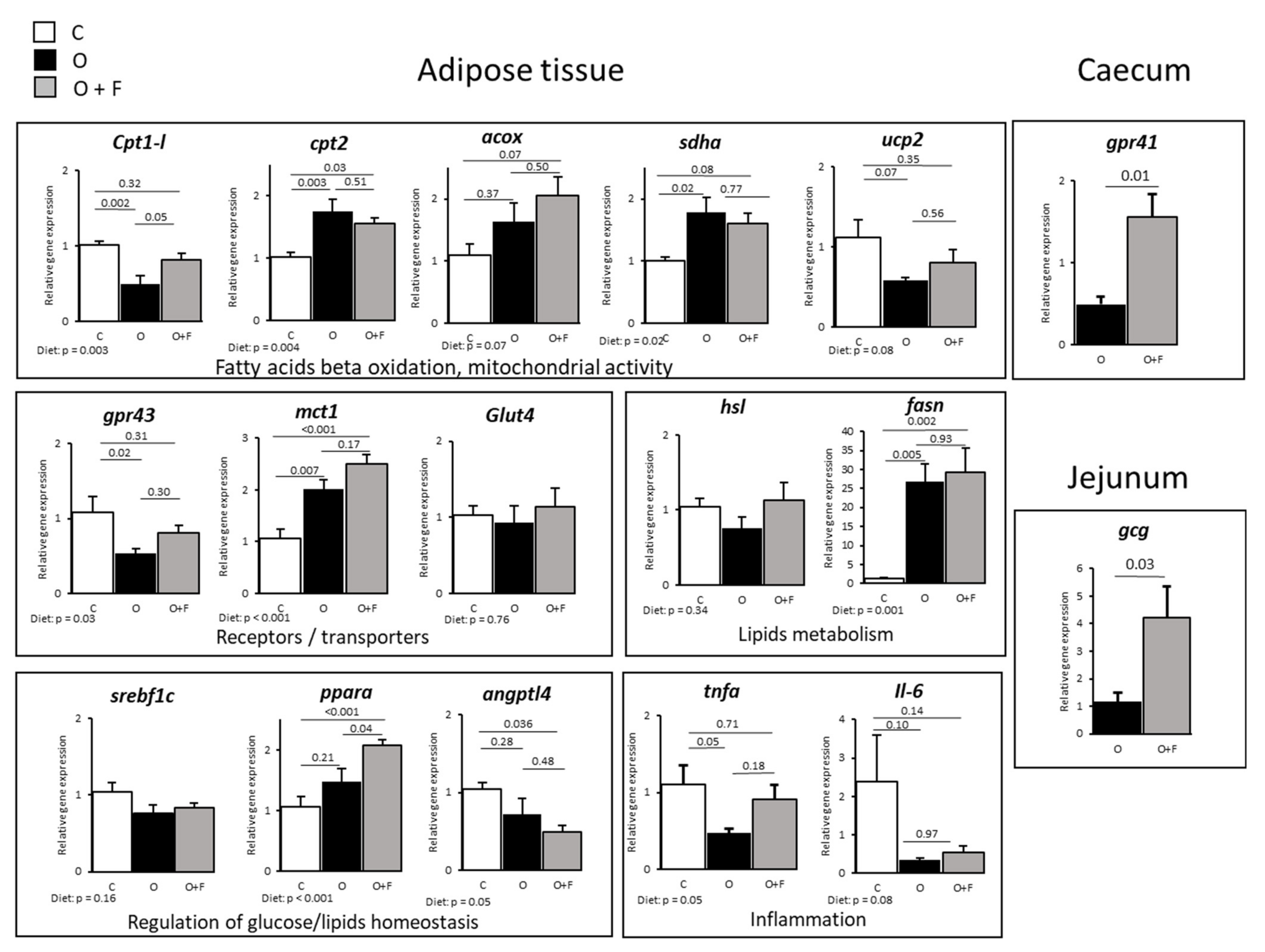 Nutrients 13 04202 g002