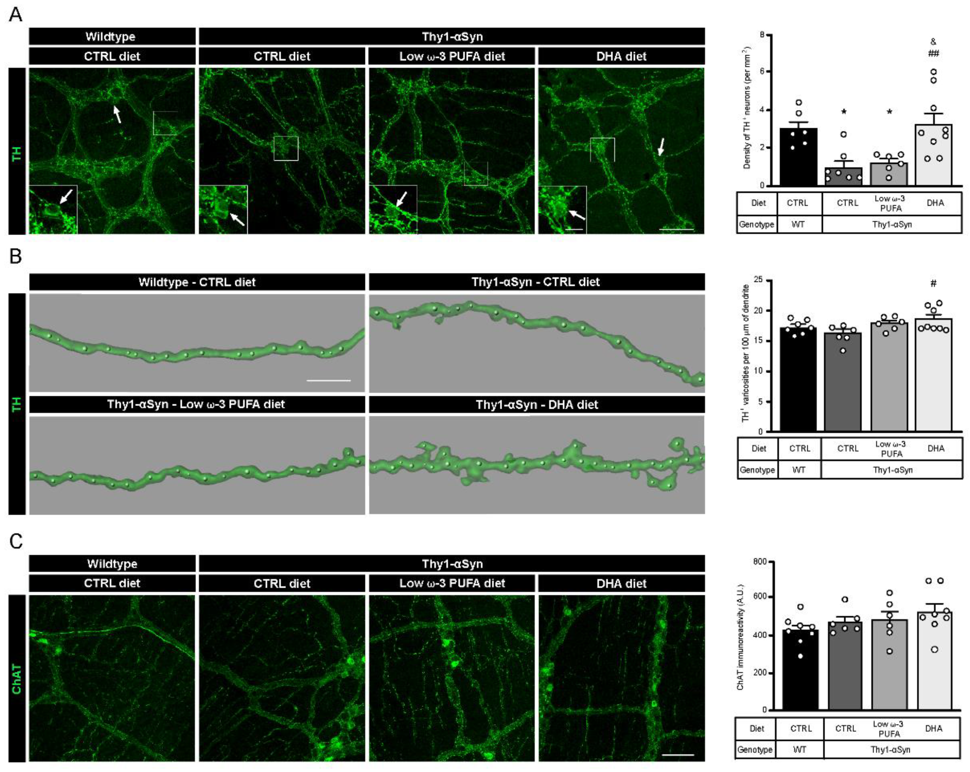 Nutrients 13 04218 g001 Nutrients 13 04218 g001
