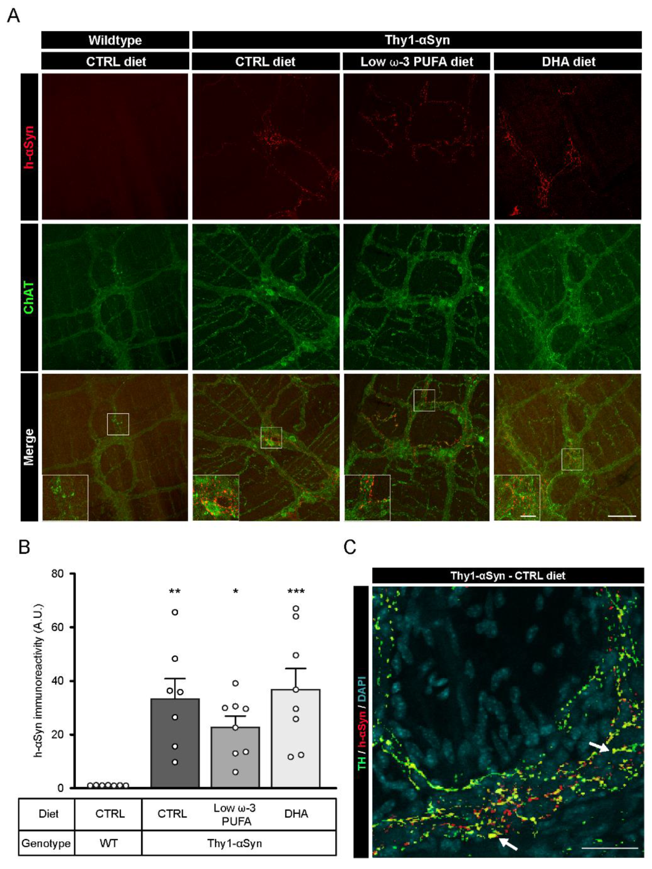 Nutrients 13 04218 g002 Nutrients 13 04218 g002