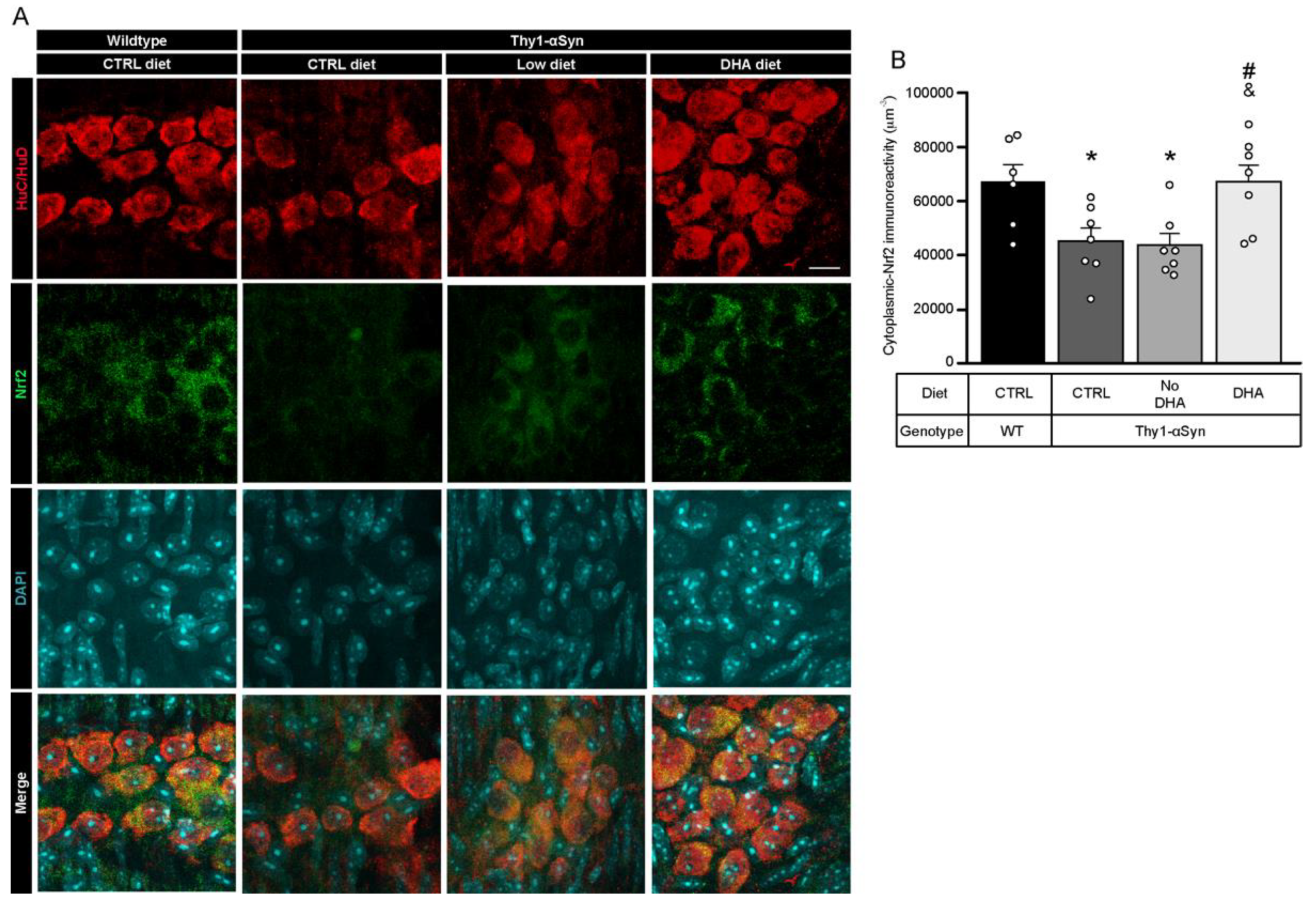 Nutrients 13 04218 g006 Nutrients 13 04218 g006