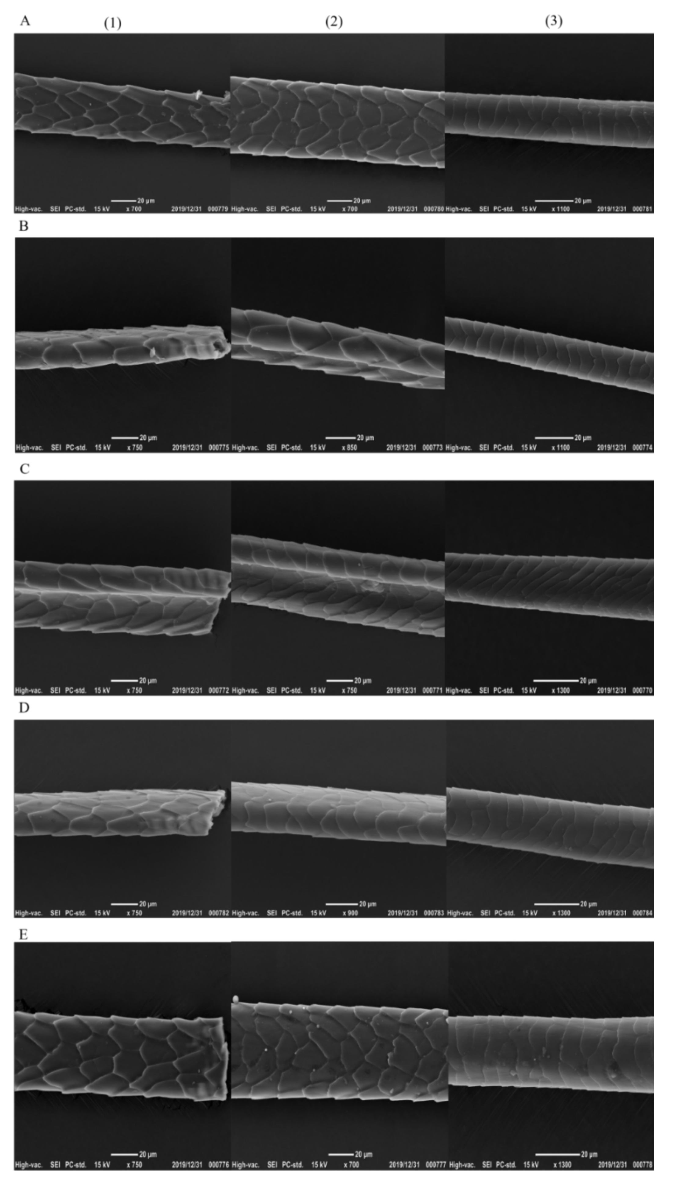 Nutrients 13 04219 g002 Nutrients 13 04219 g002