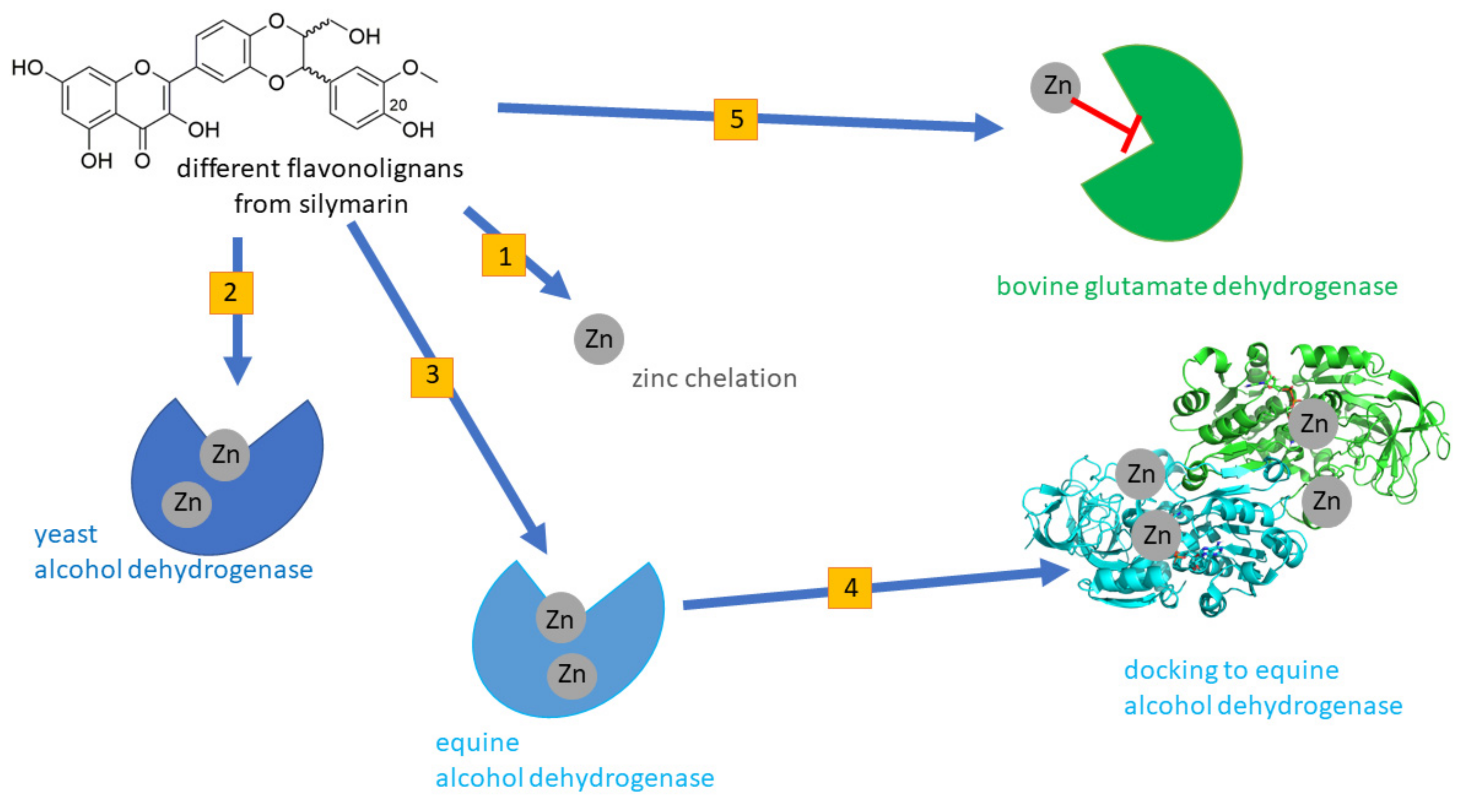 Nutrients 13 04238 g002
