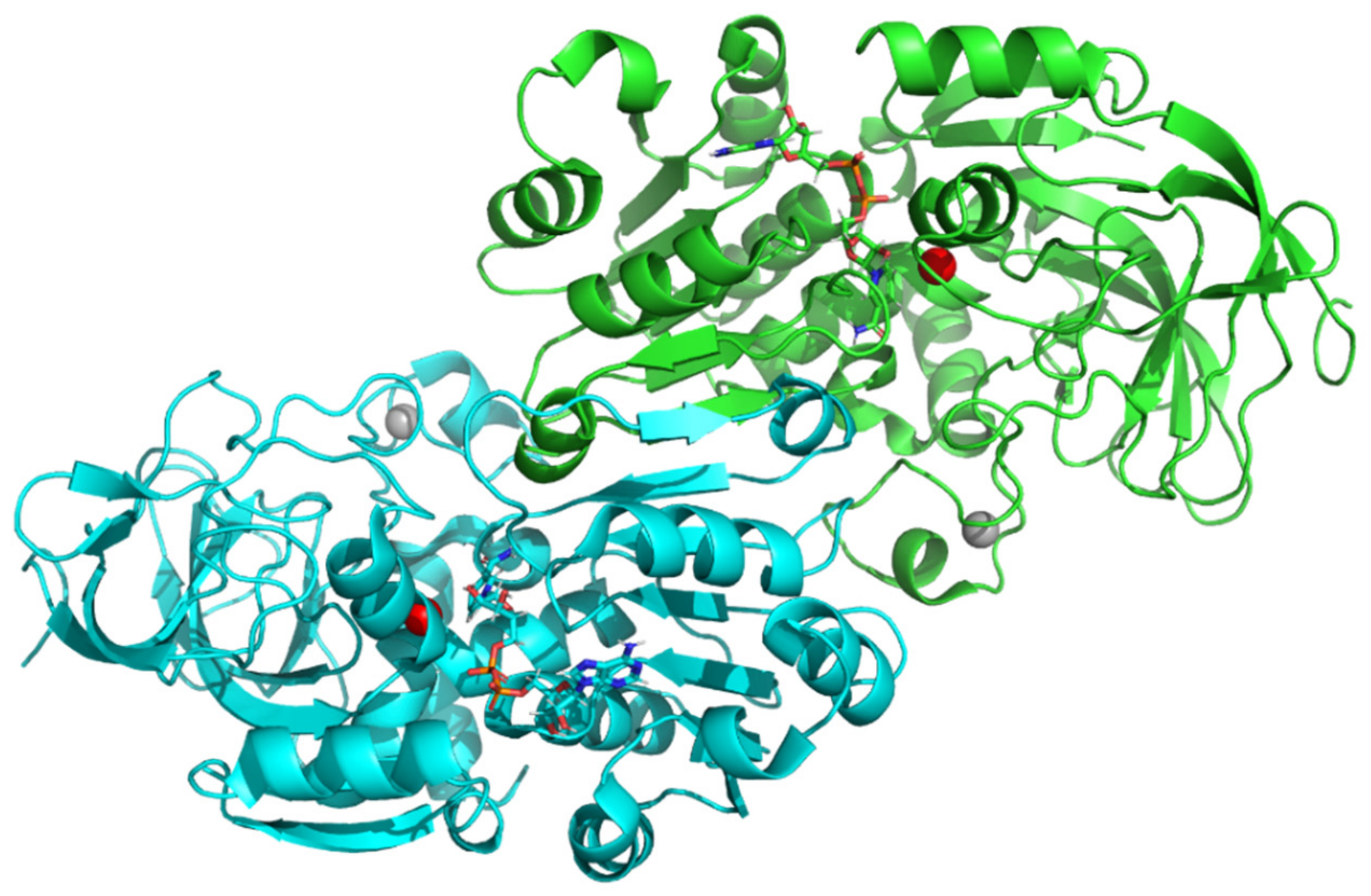Nutrients 13 04238 g013