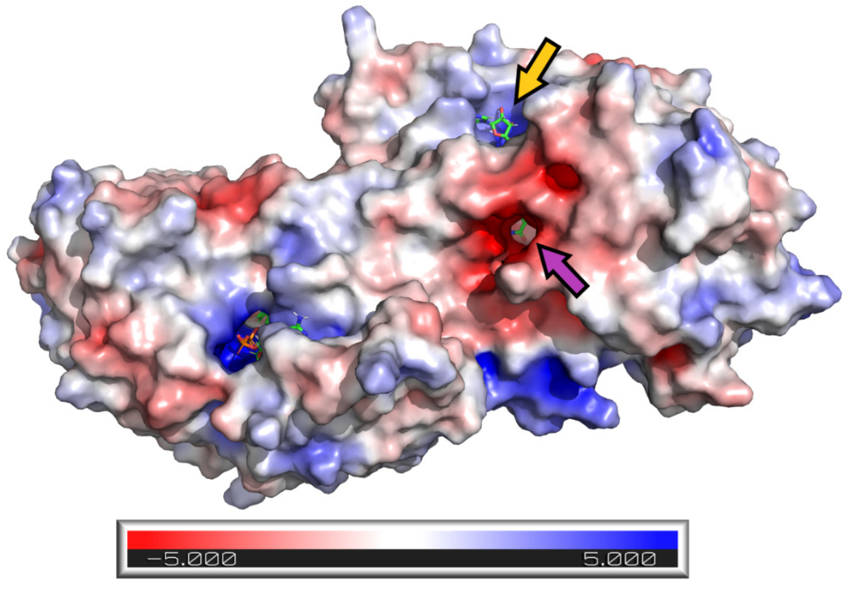 Nutrients 13 04238 g015