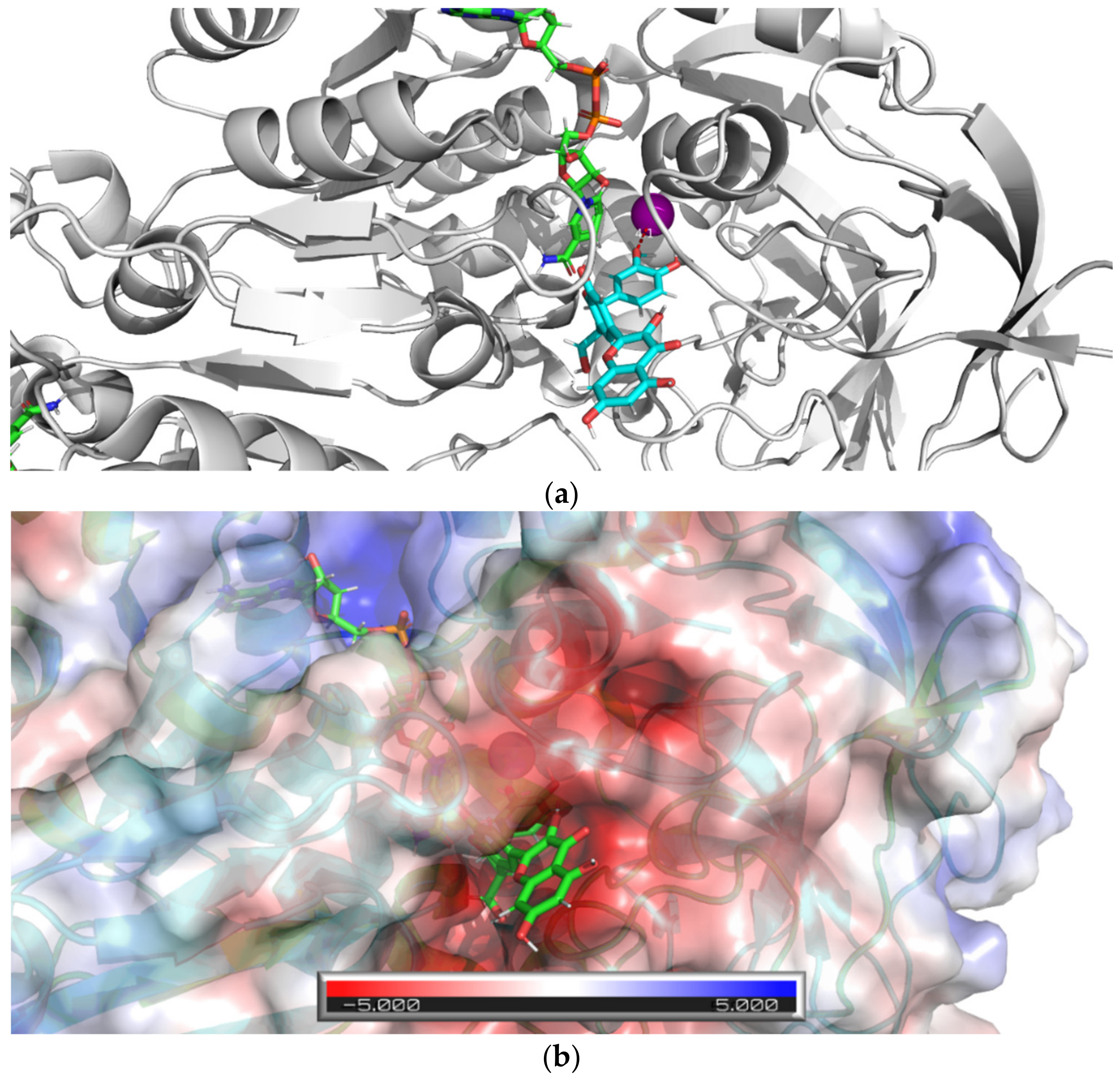 Nutrients 13 04238 g016