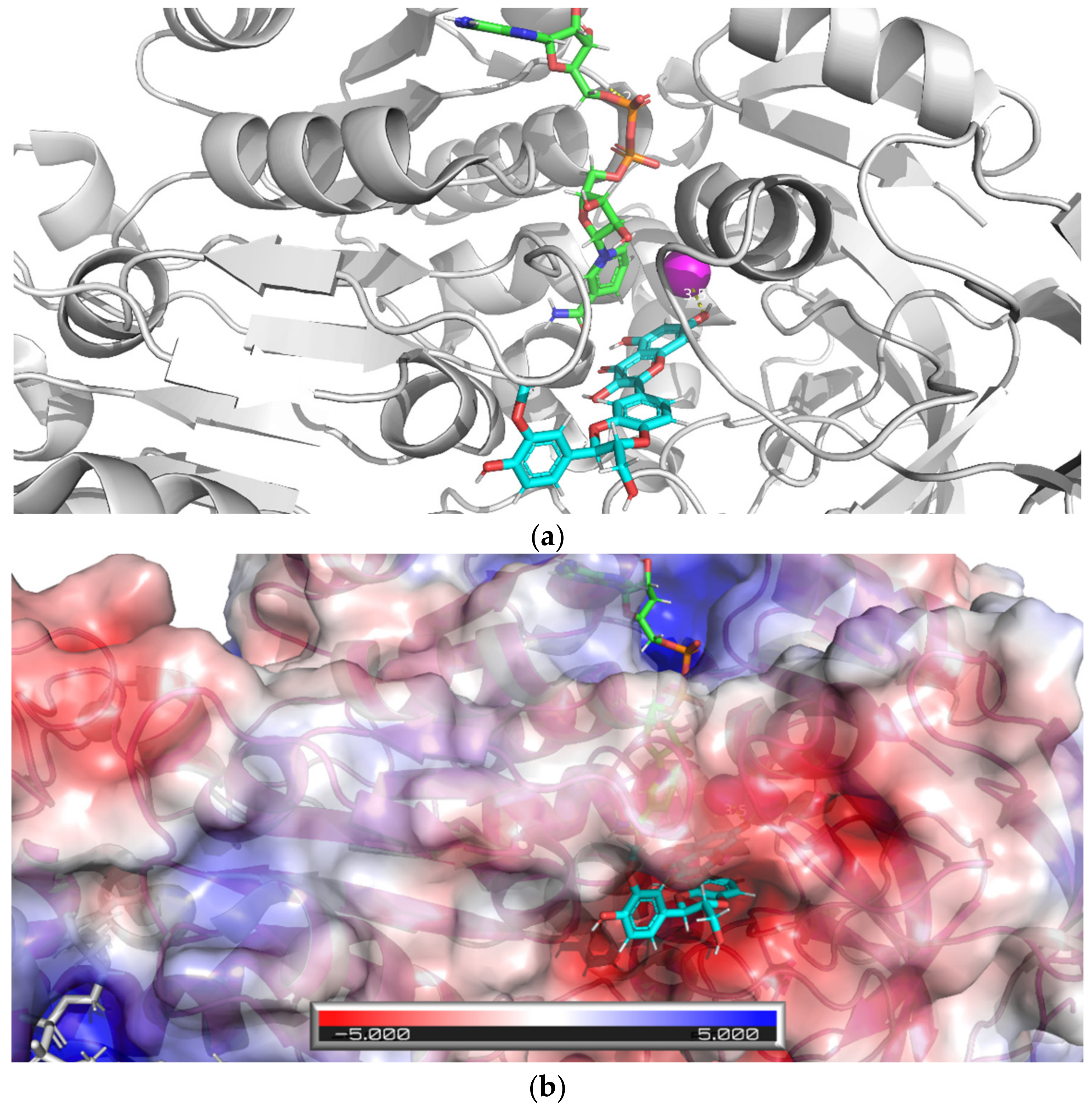 Nutrients 13 04238 g017