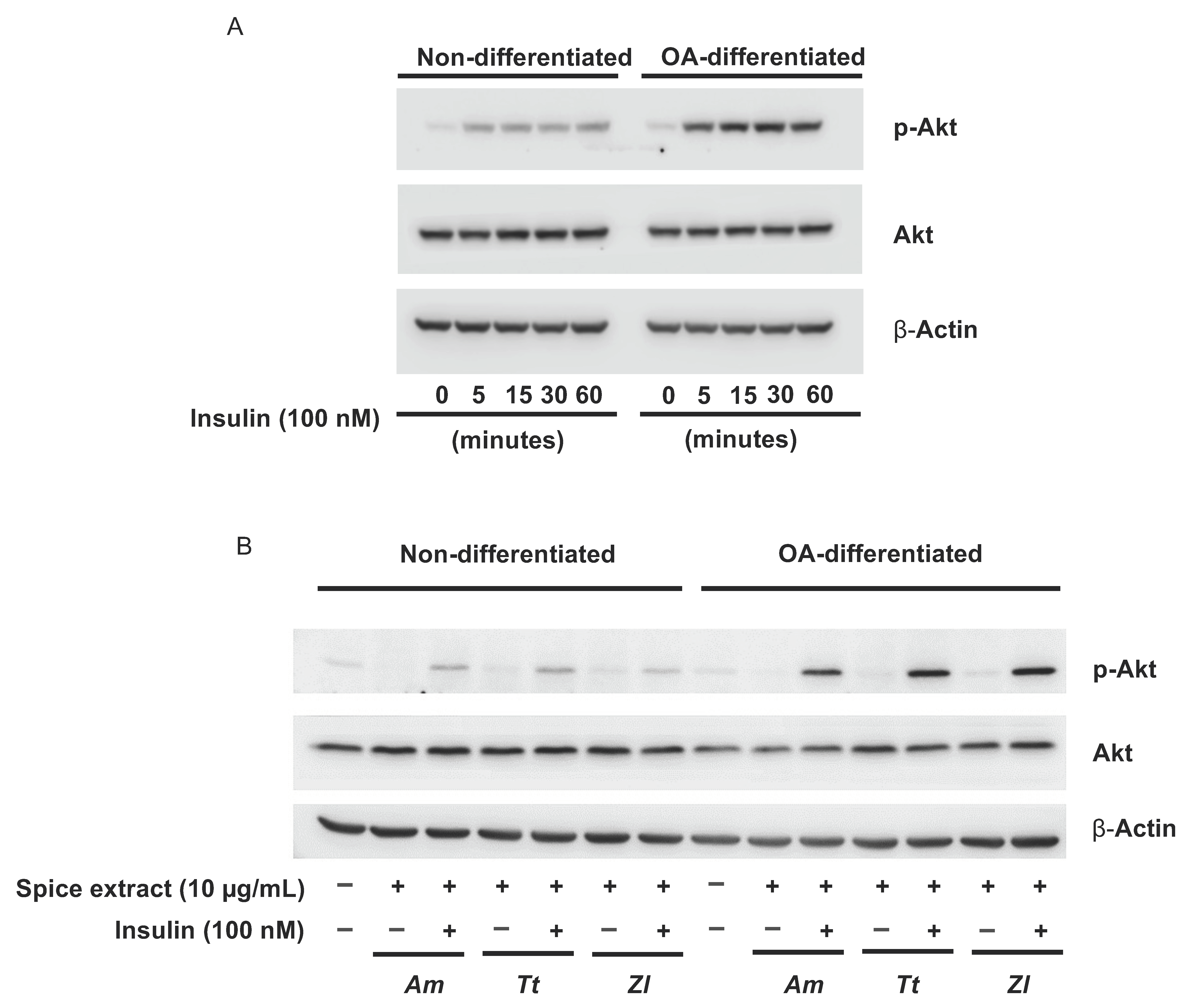 Nutrients 13 04271 g003