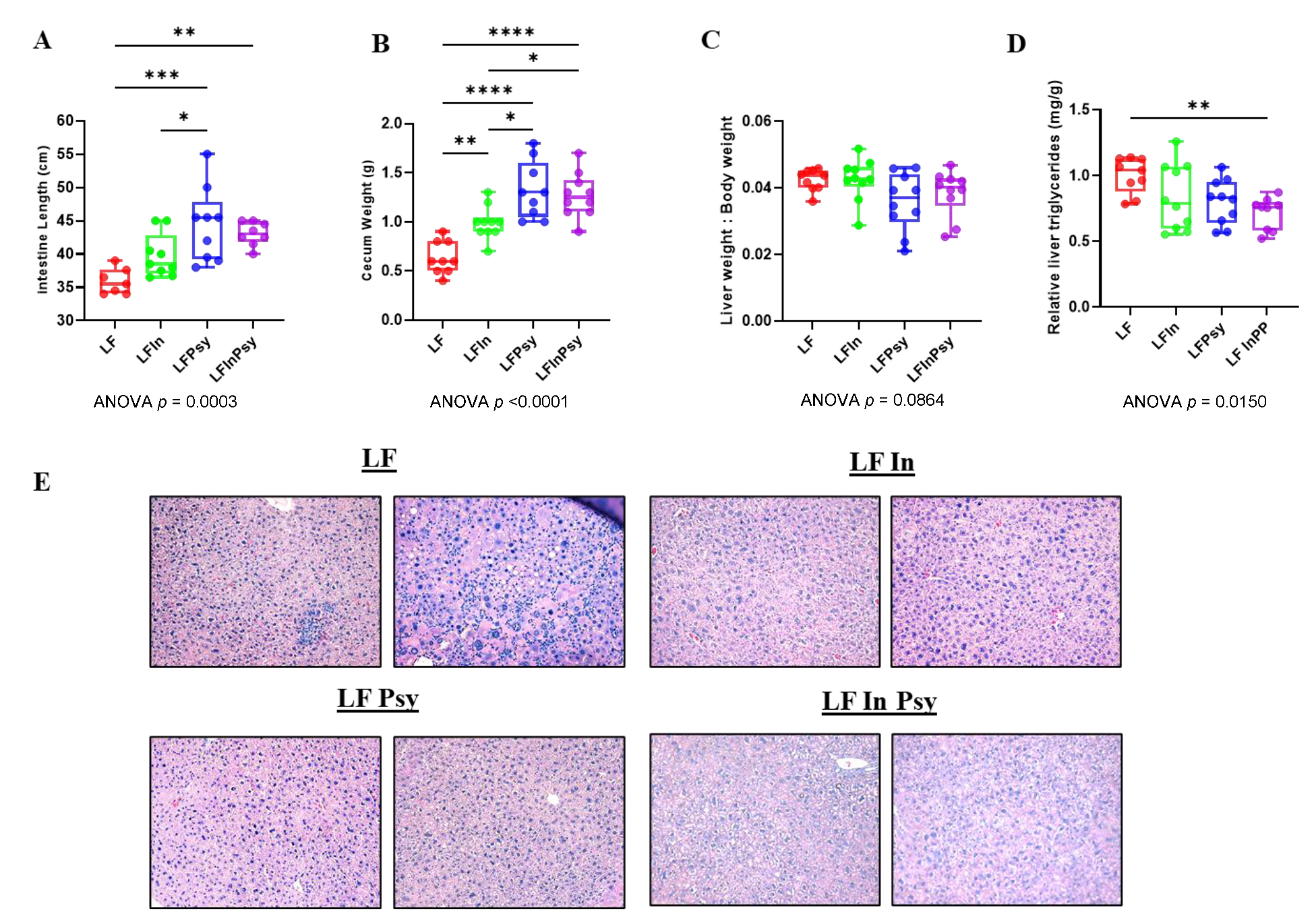 Nutrients 13 04278 g002