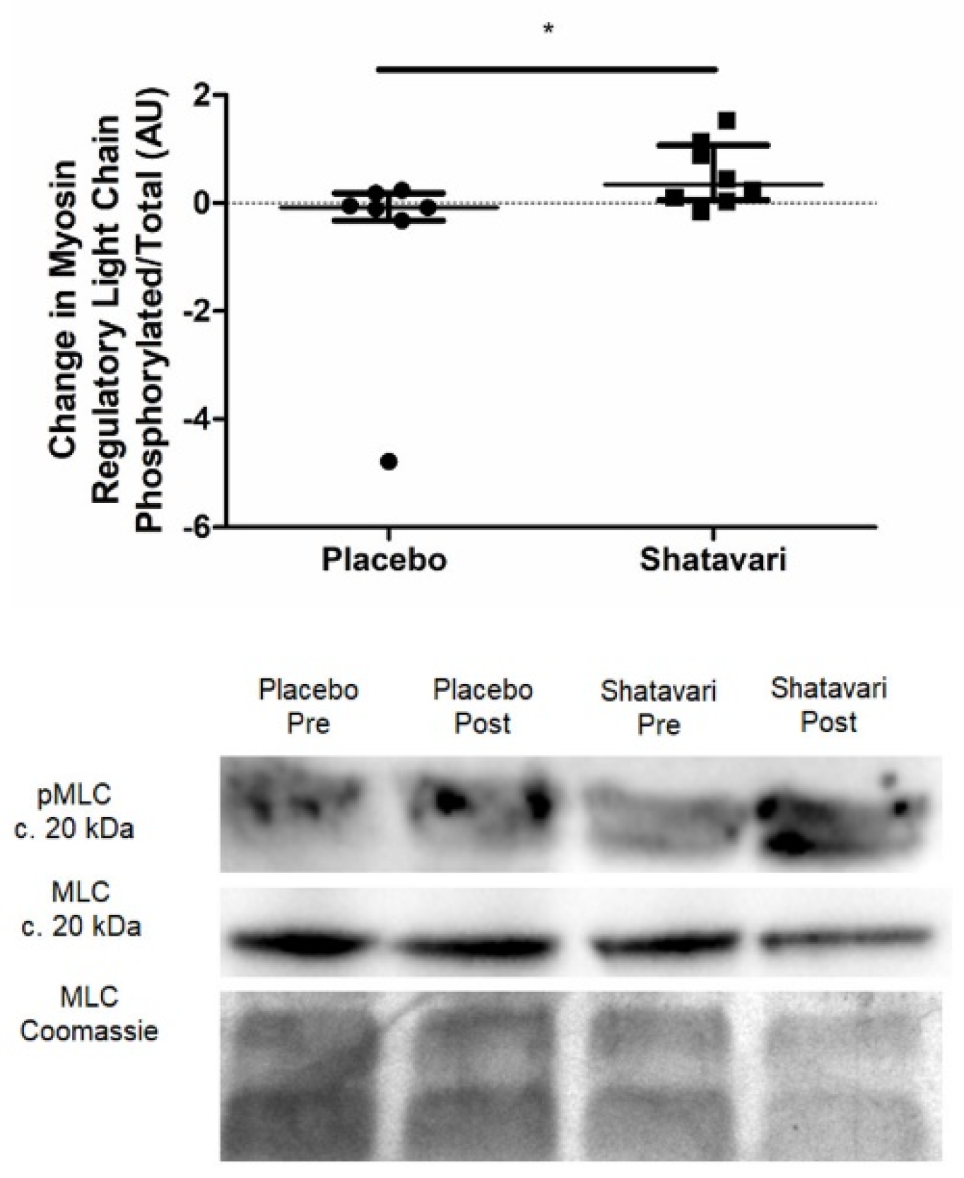 Nutrients 13 04282 g002