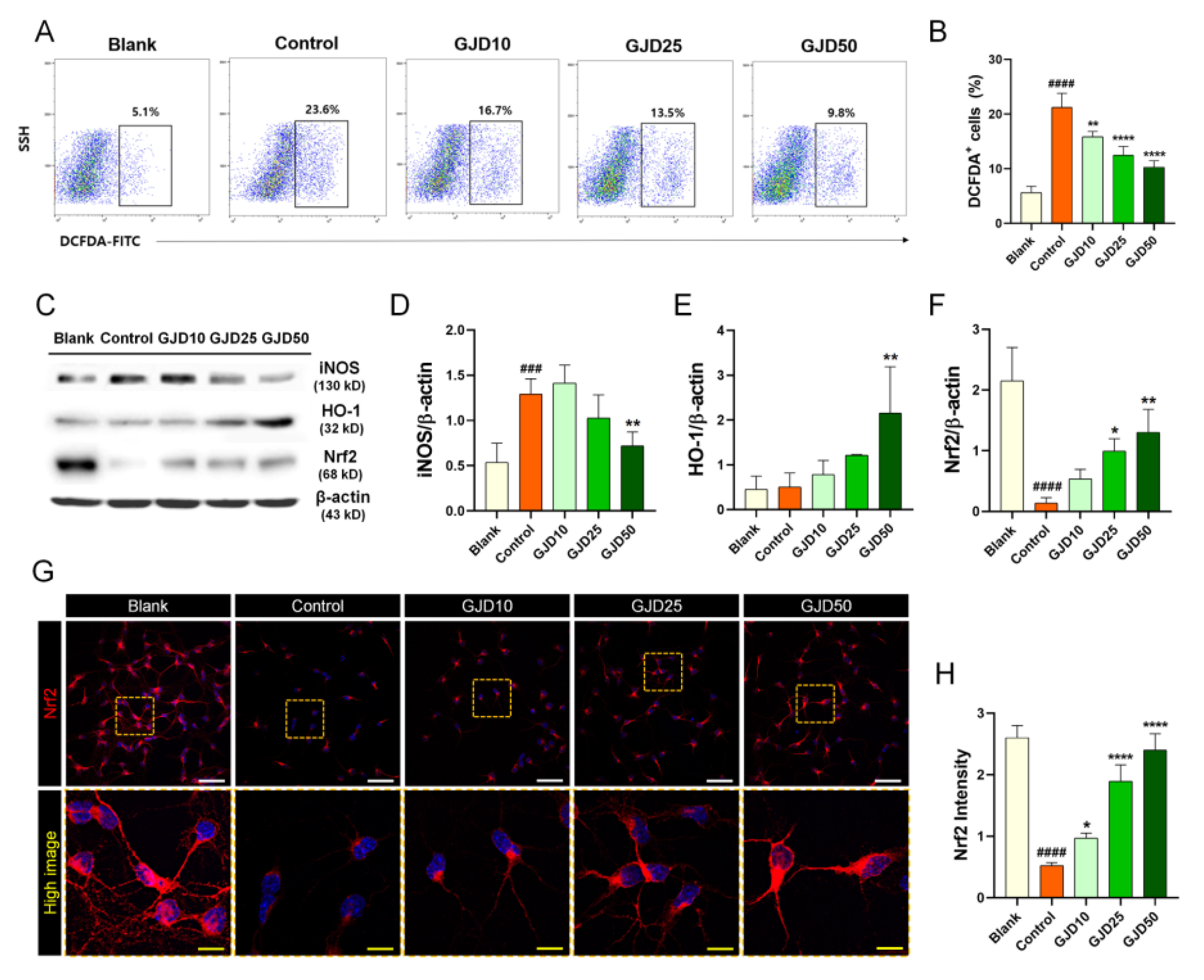 Nutrients 13 04290 g002
