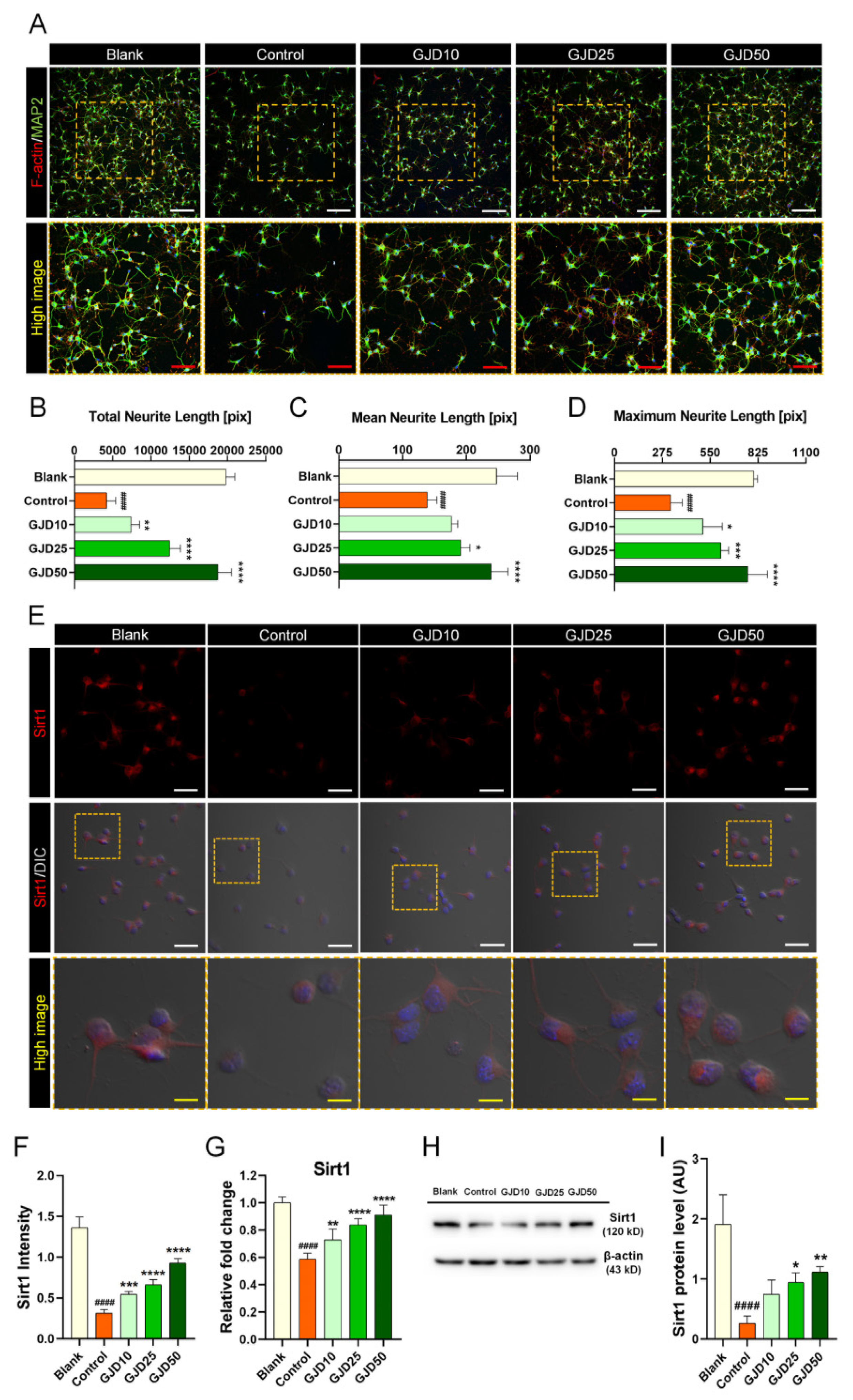 Nutrients 13 04290 g004