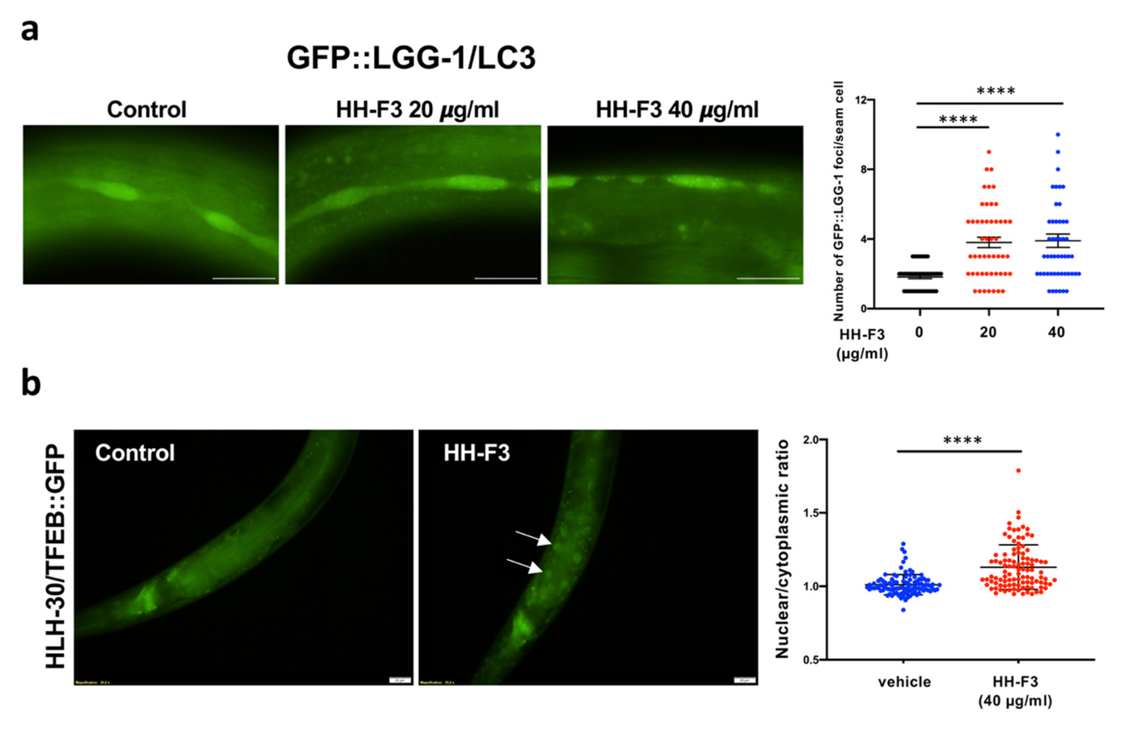 Nutrients 13 04317 g005