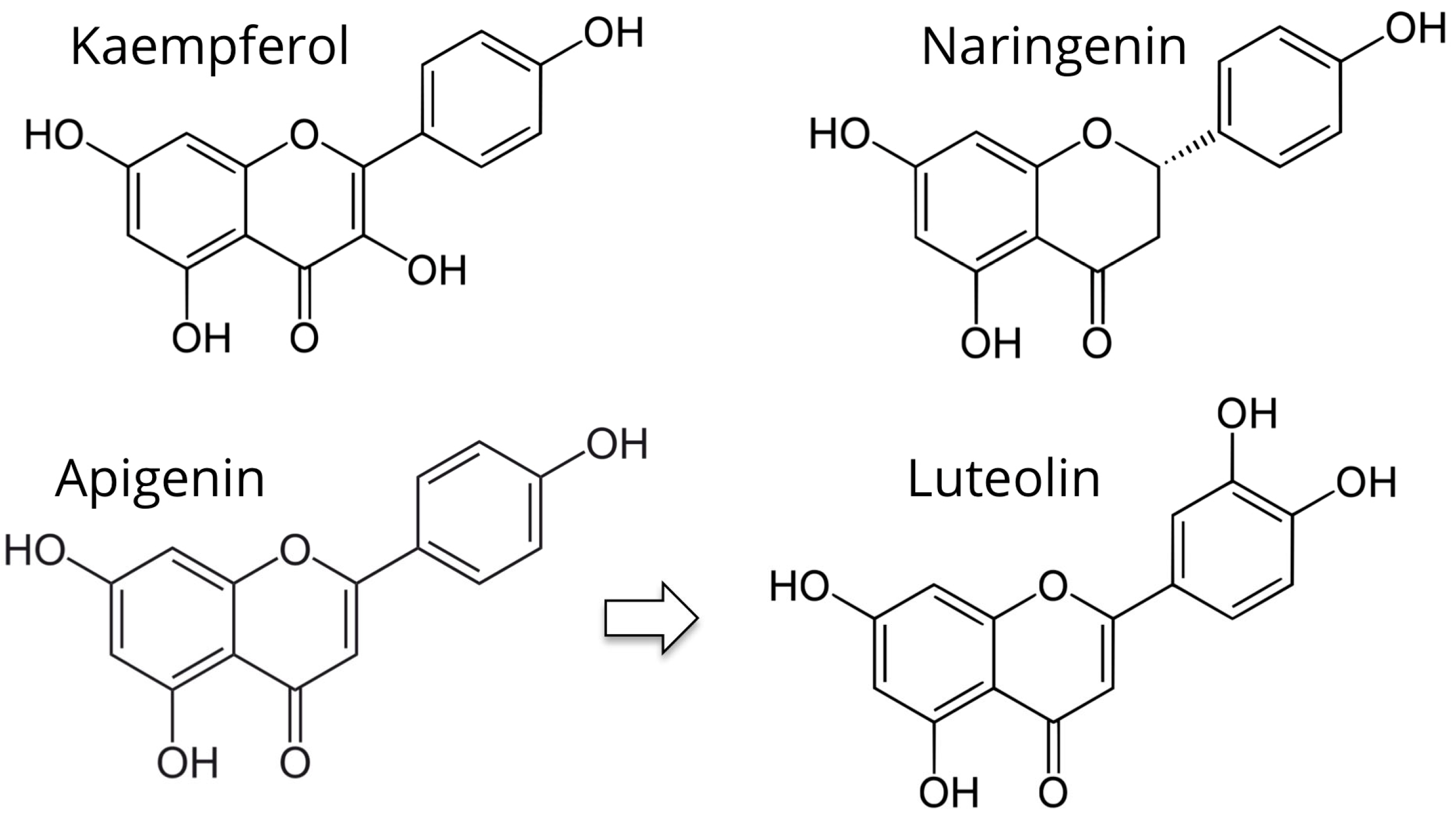 Nutrients 13 04326 g003 Nutrients 13 04326 g003