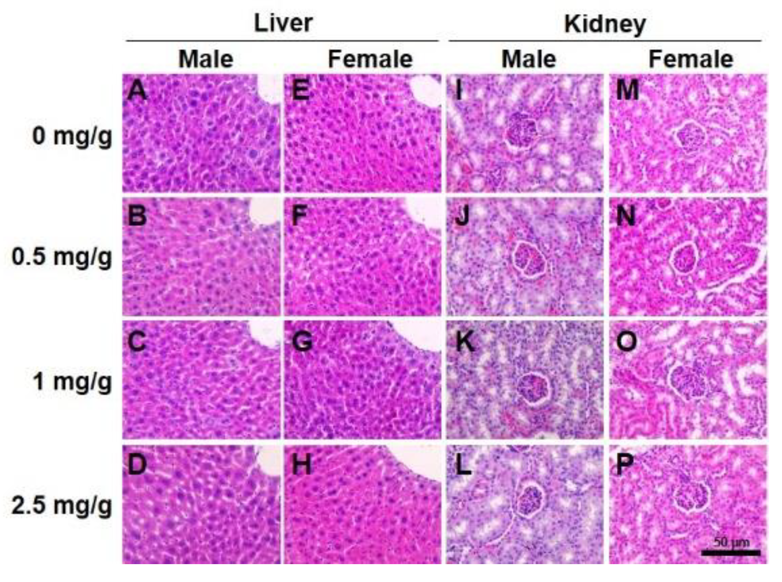 Nutrients 13 04332 g005
